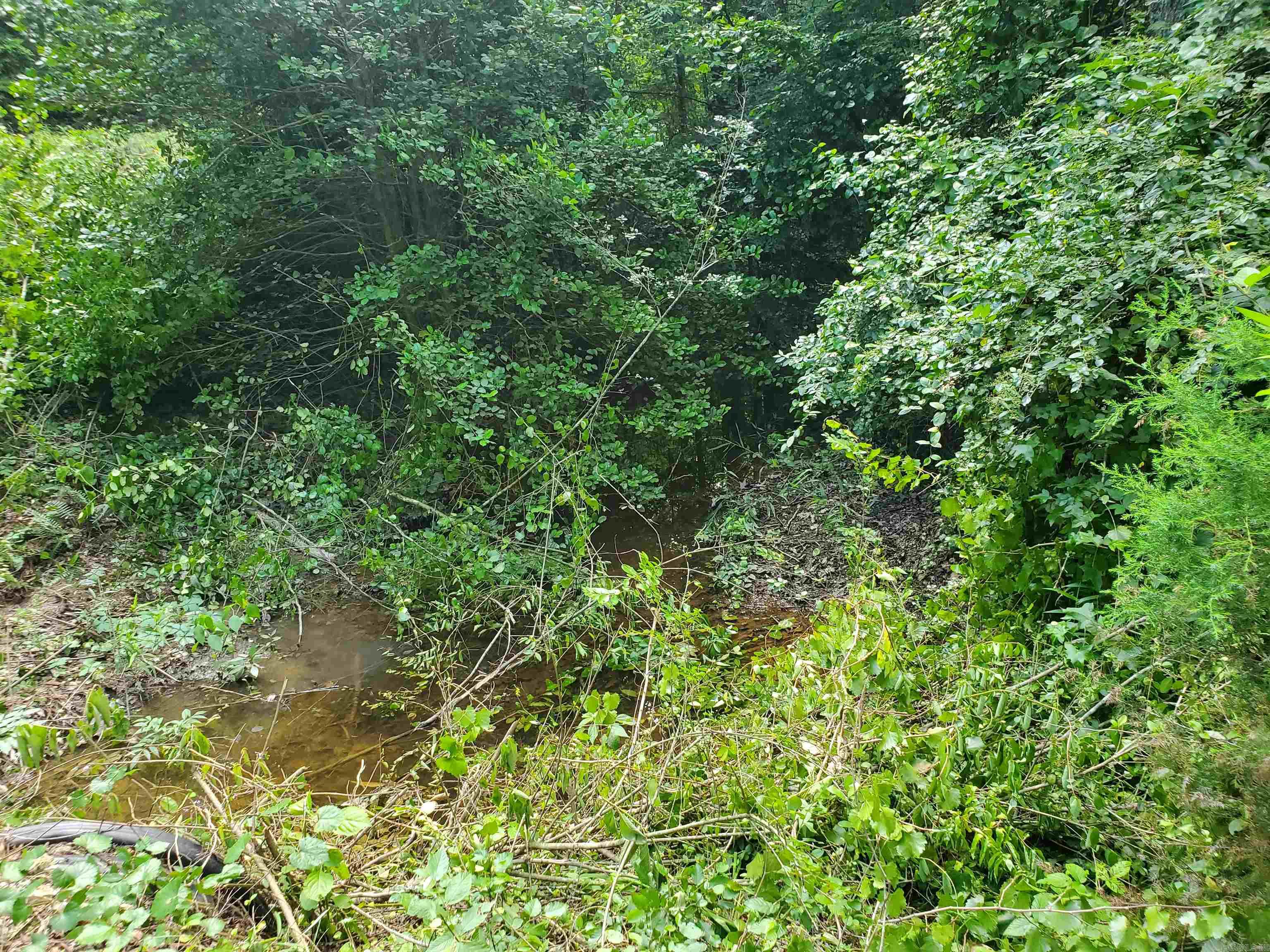 Tbd Polk 69 Property Photo 13
