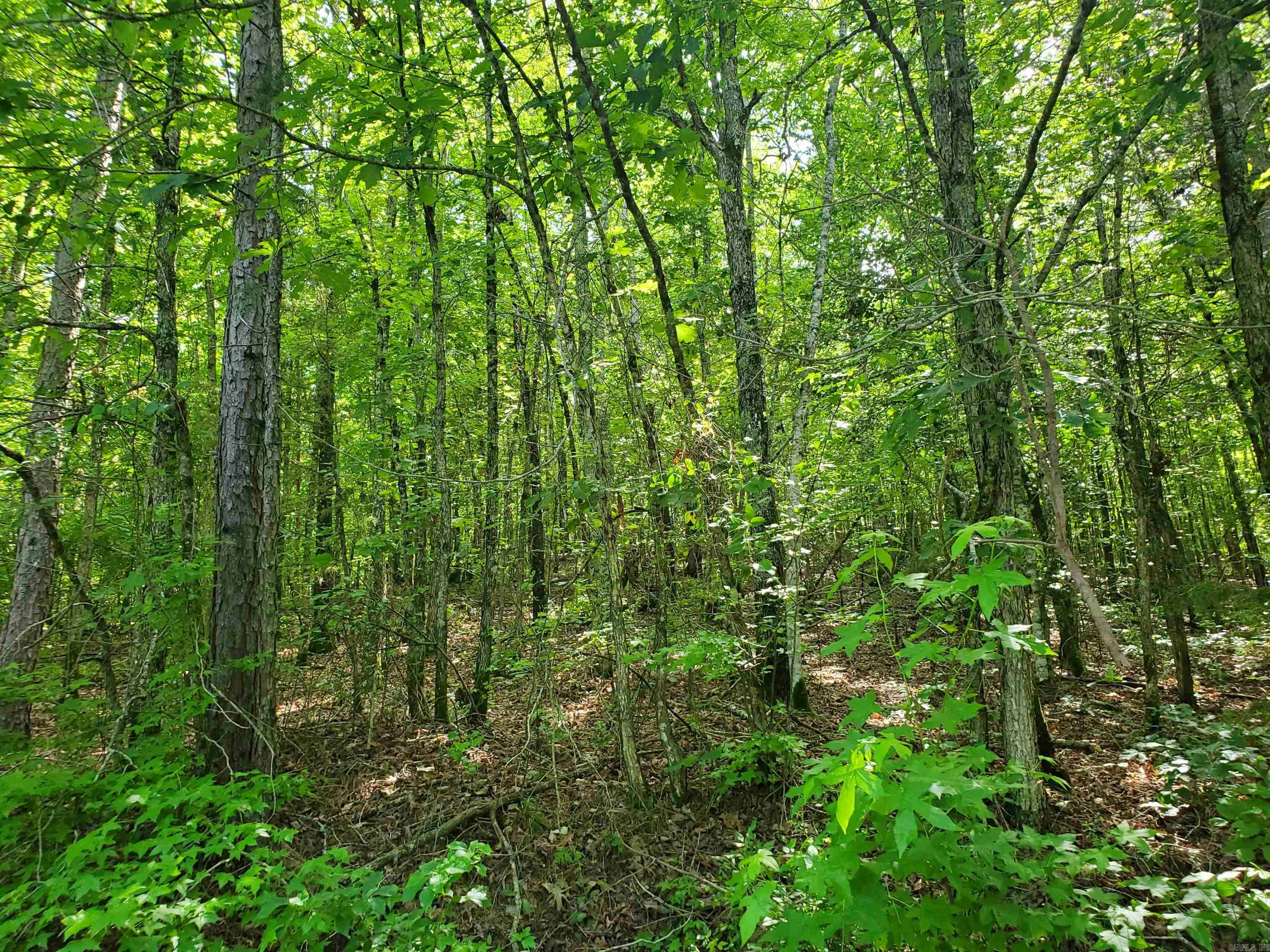 Tbd Polk 69 Property Photo 14