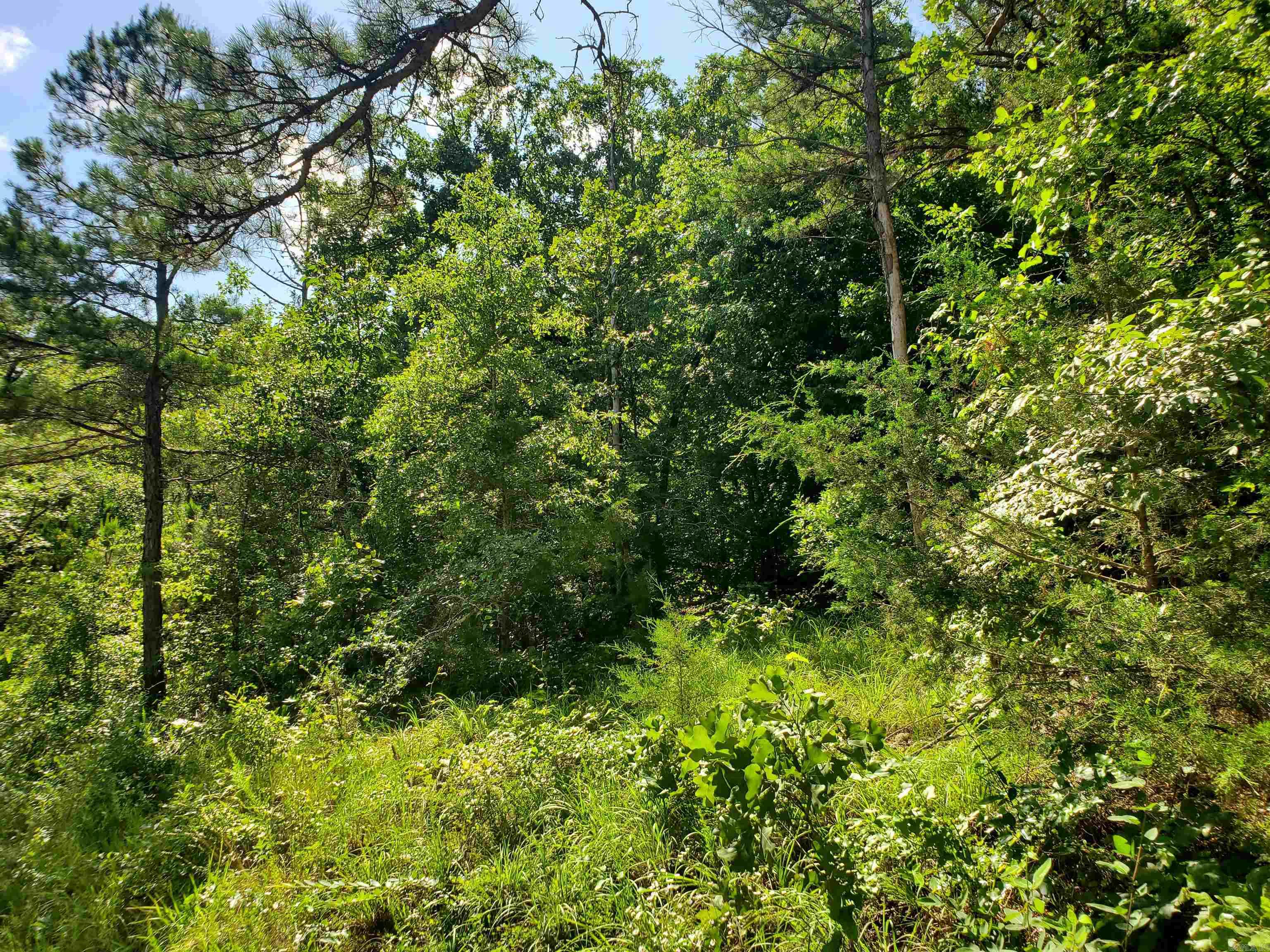 Tbd Polk 69 Property Photo 15