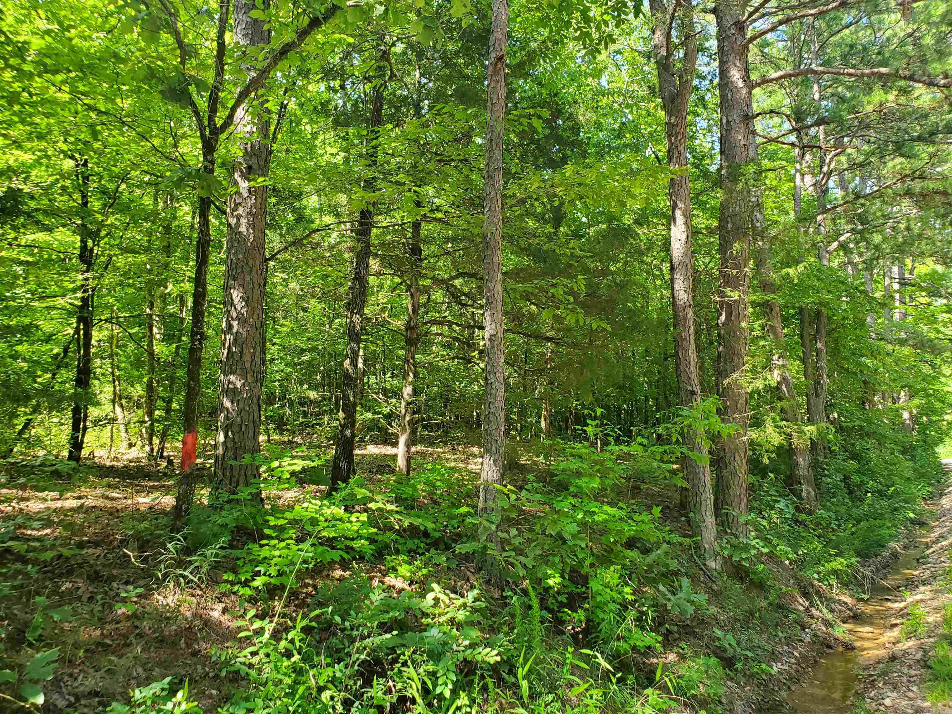 Tbd Polk 69 Property Photo 16