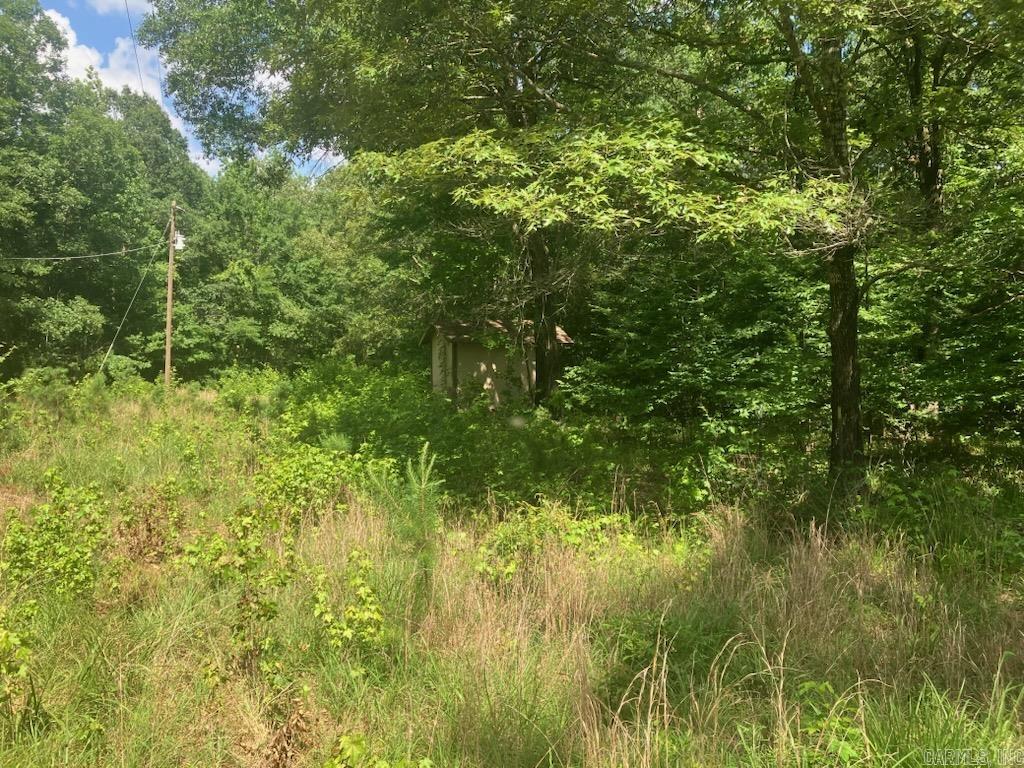 Tbd Polk 69 Property Photo 17
