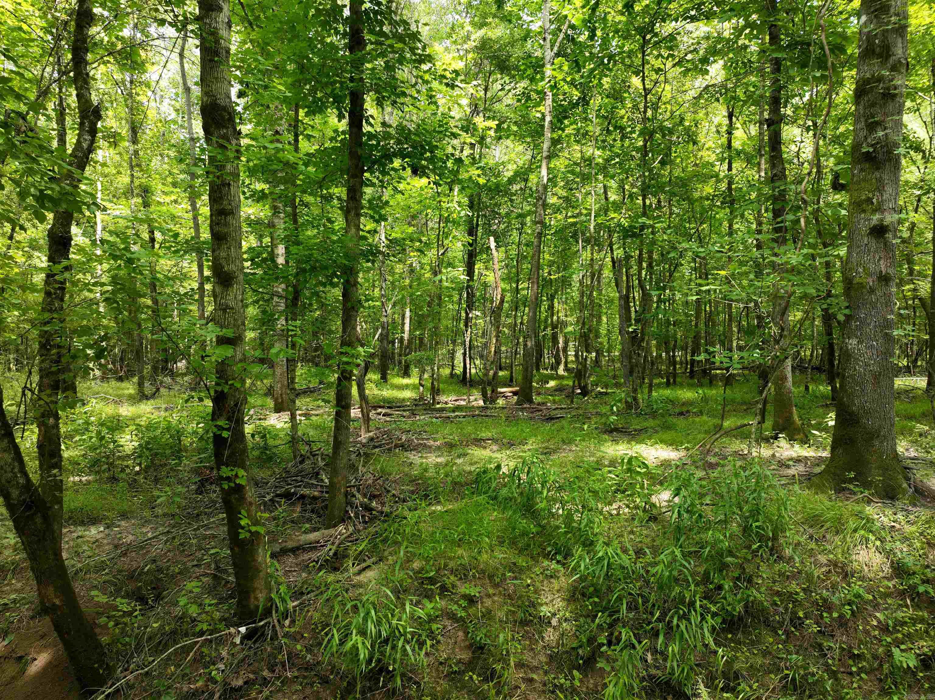 0000 53 Highway Property Photo 11
