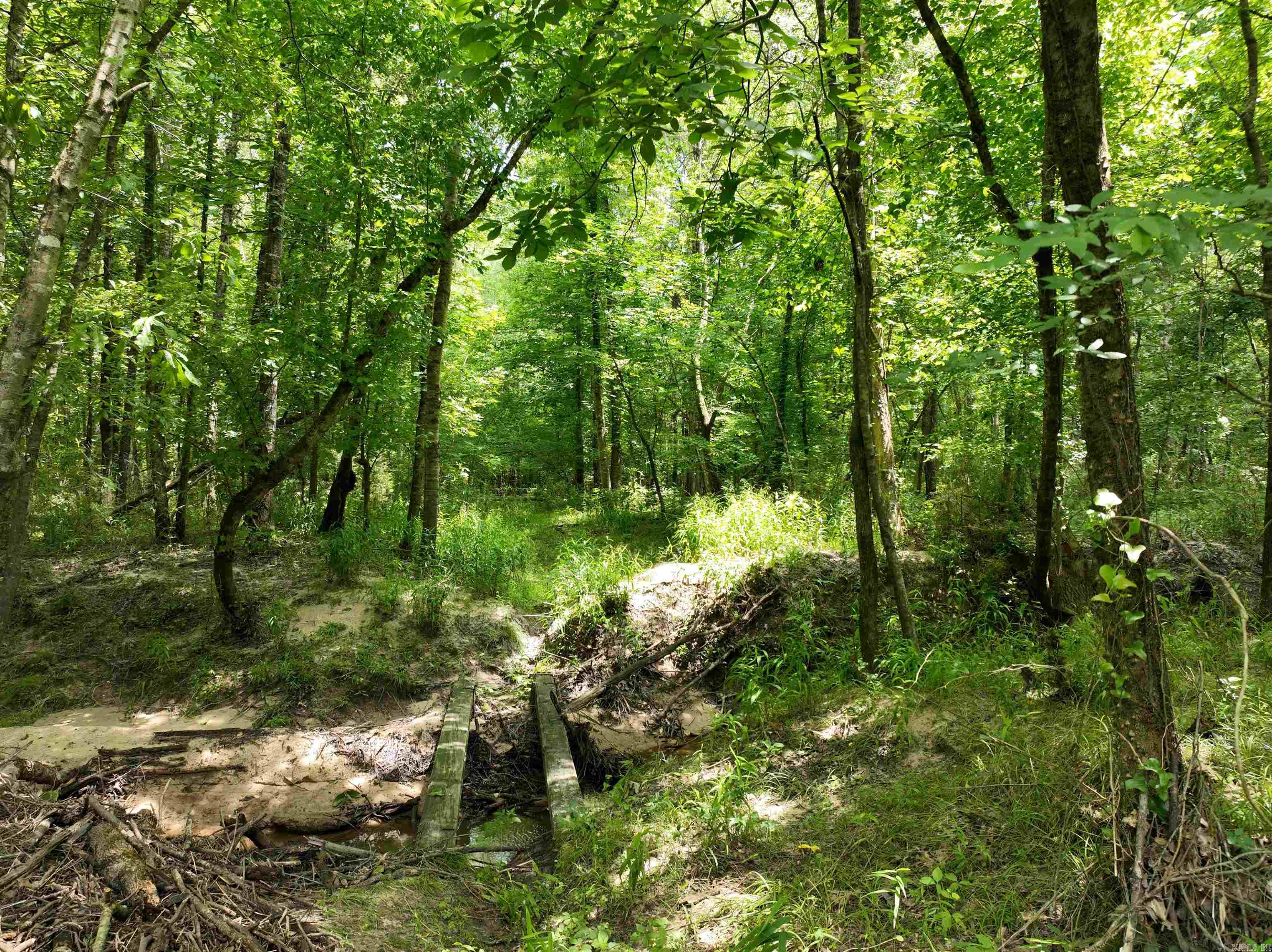 0000 53 Highway Property Photo 14