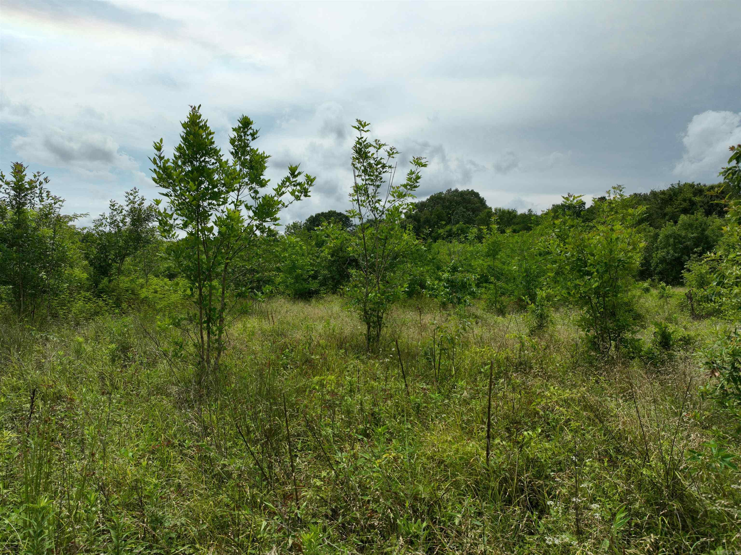 0000 53 Highway Property Photo 17