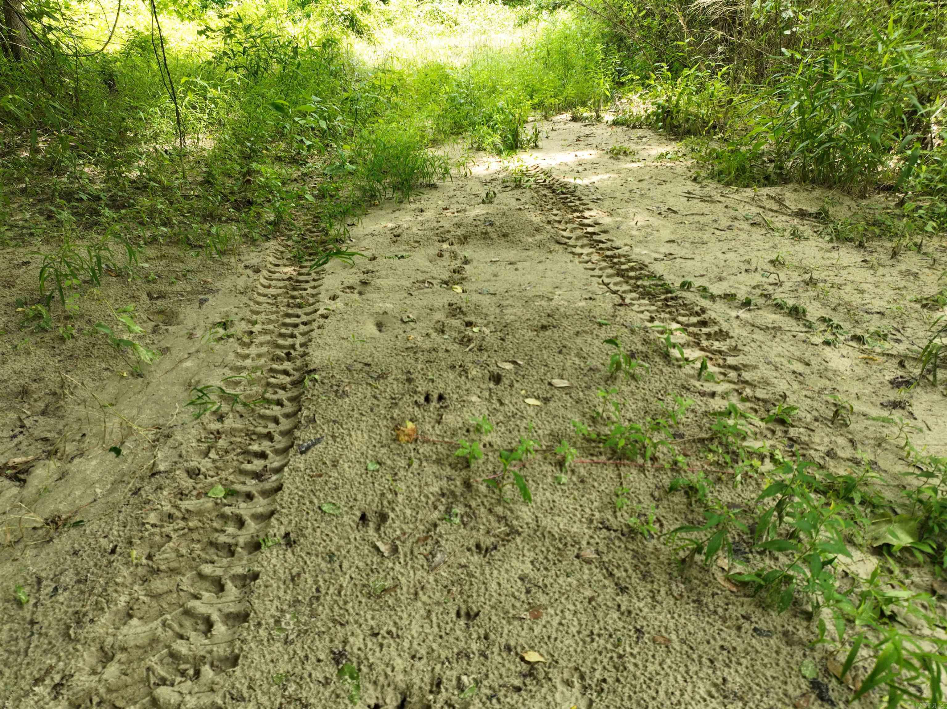 0000 53 Highway Property Photo 18