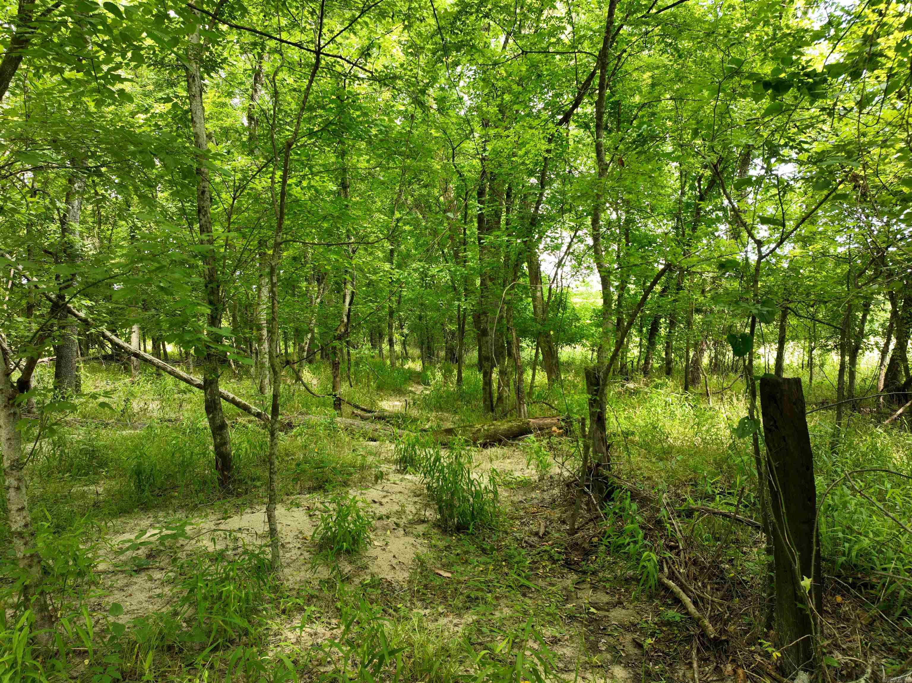 0000 53 Highway Property Photo 22