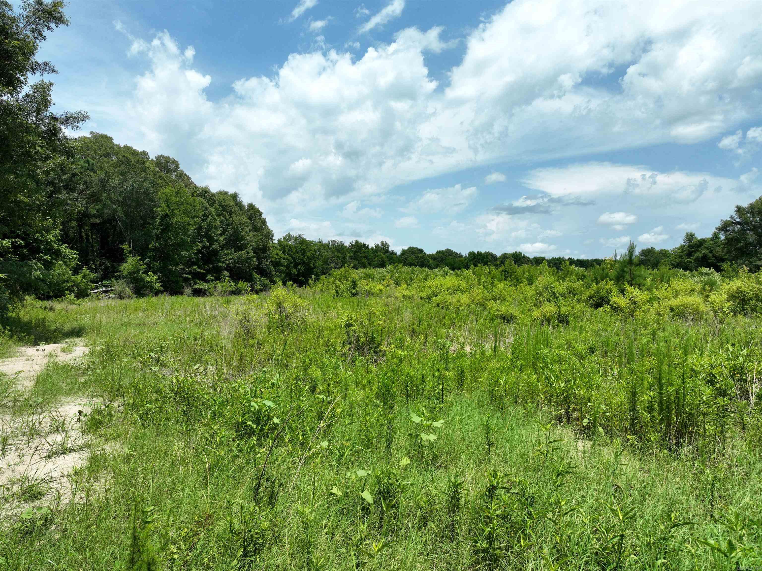 0000 53 Highway Property Photo 24