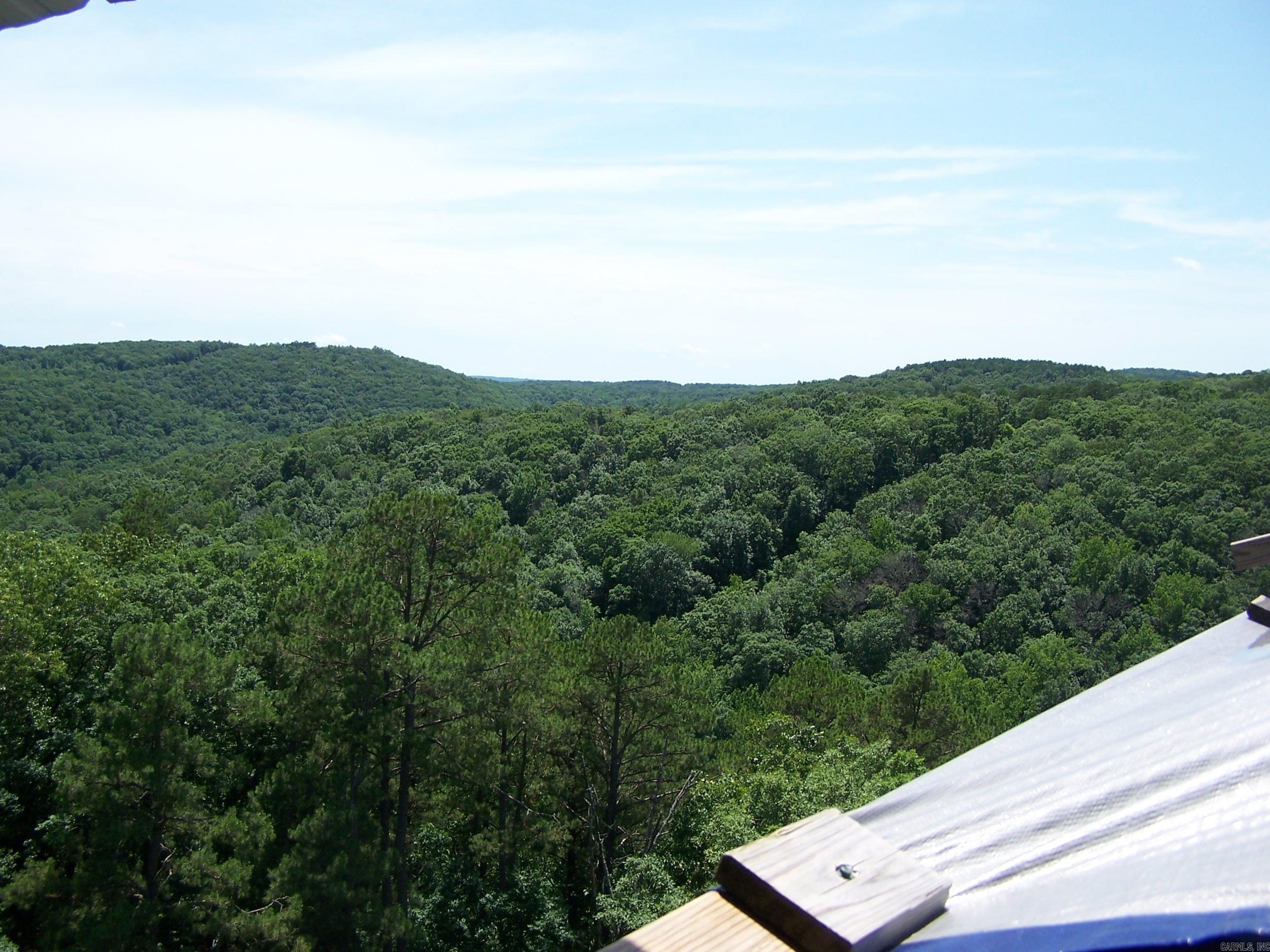 1307 Dodd Mtn. Rd. Property Photo 10