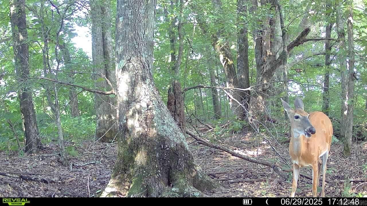 00 Copeland Rd Property Photo 7