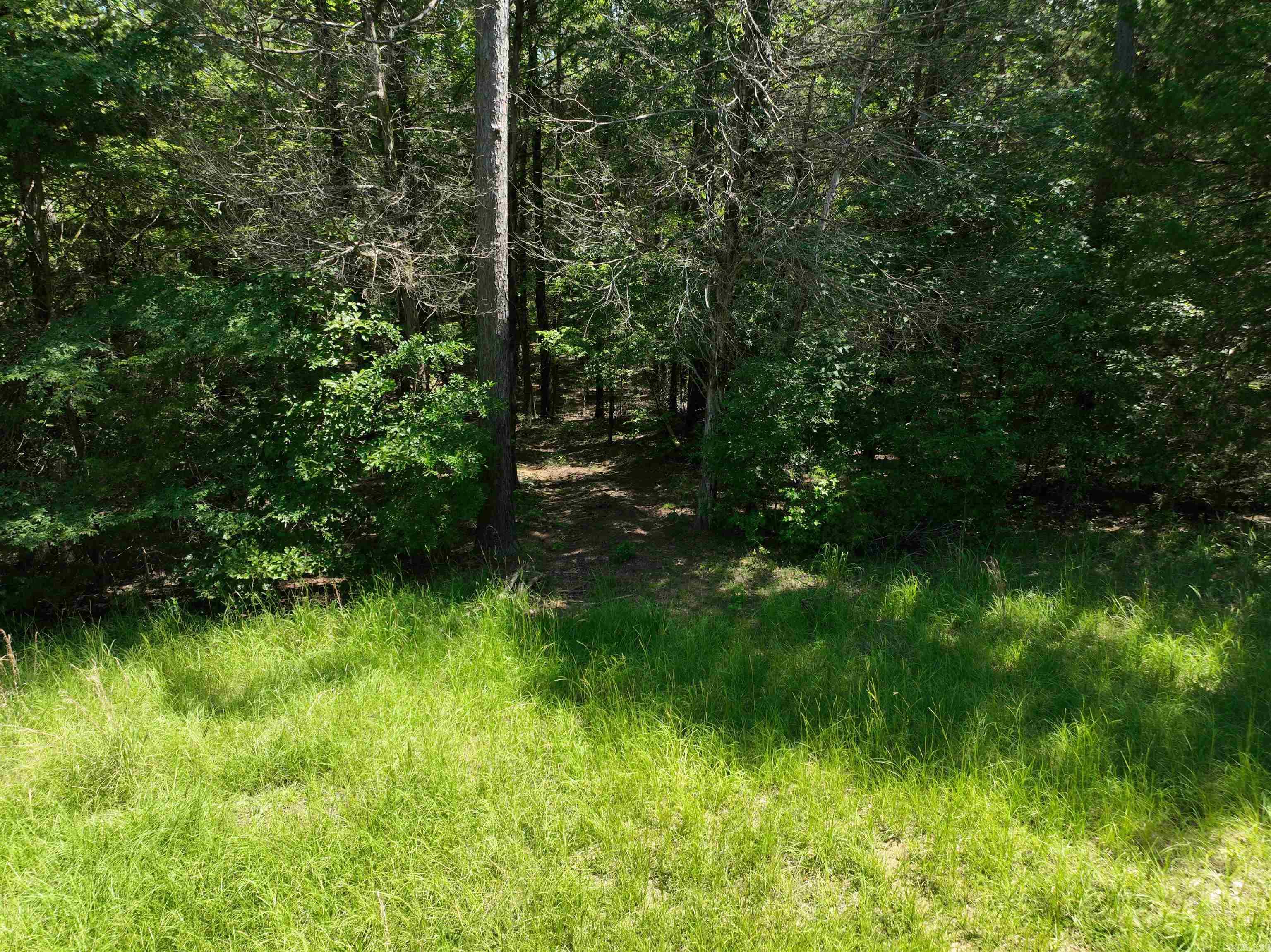 Tract 1 Waterside Drive Property Photo 16