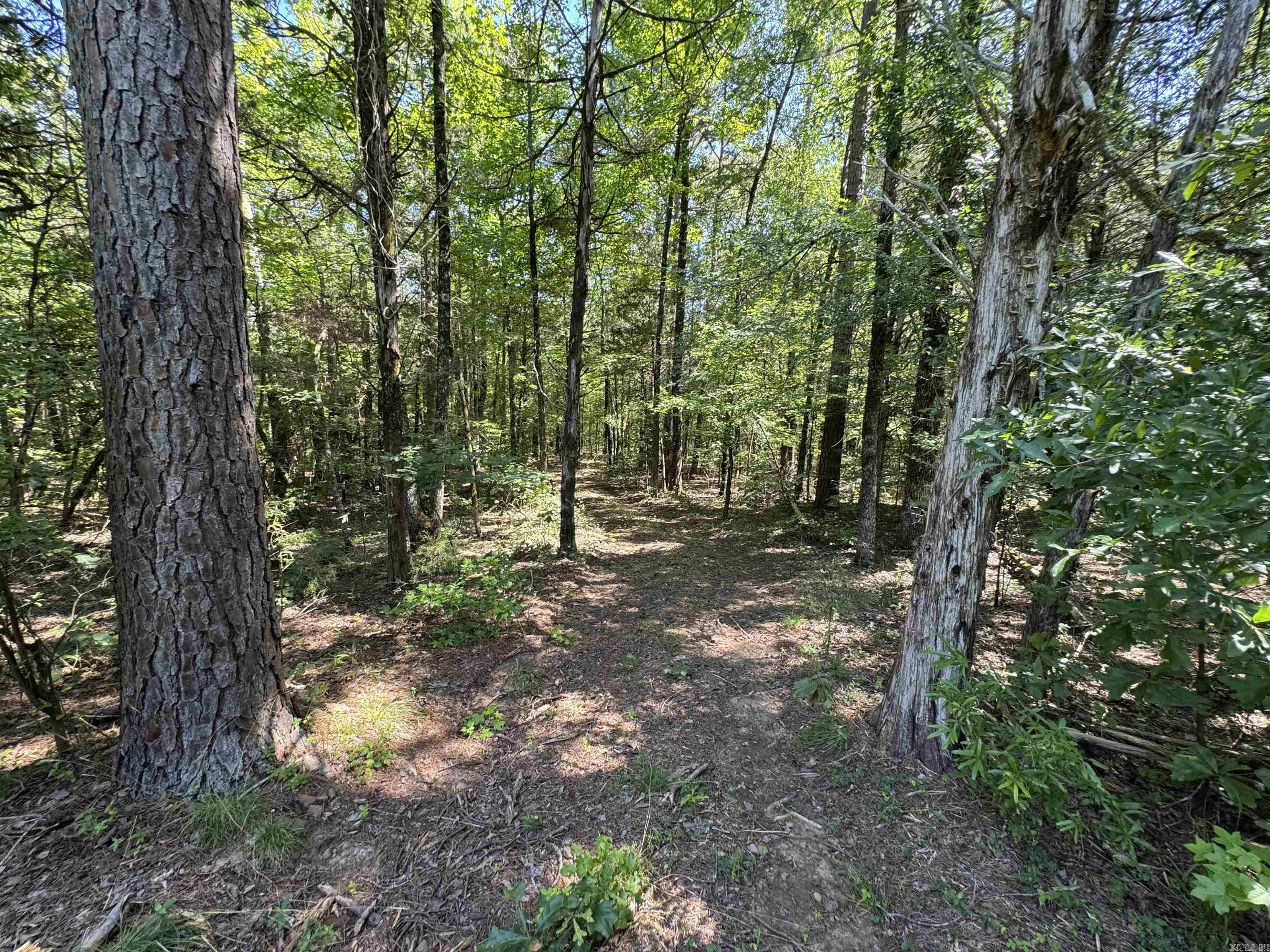 Tract 1 Waterside Drive Property Photo 26