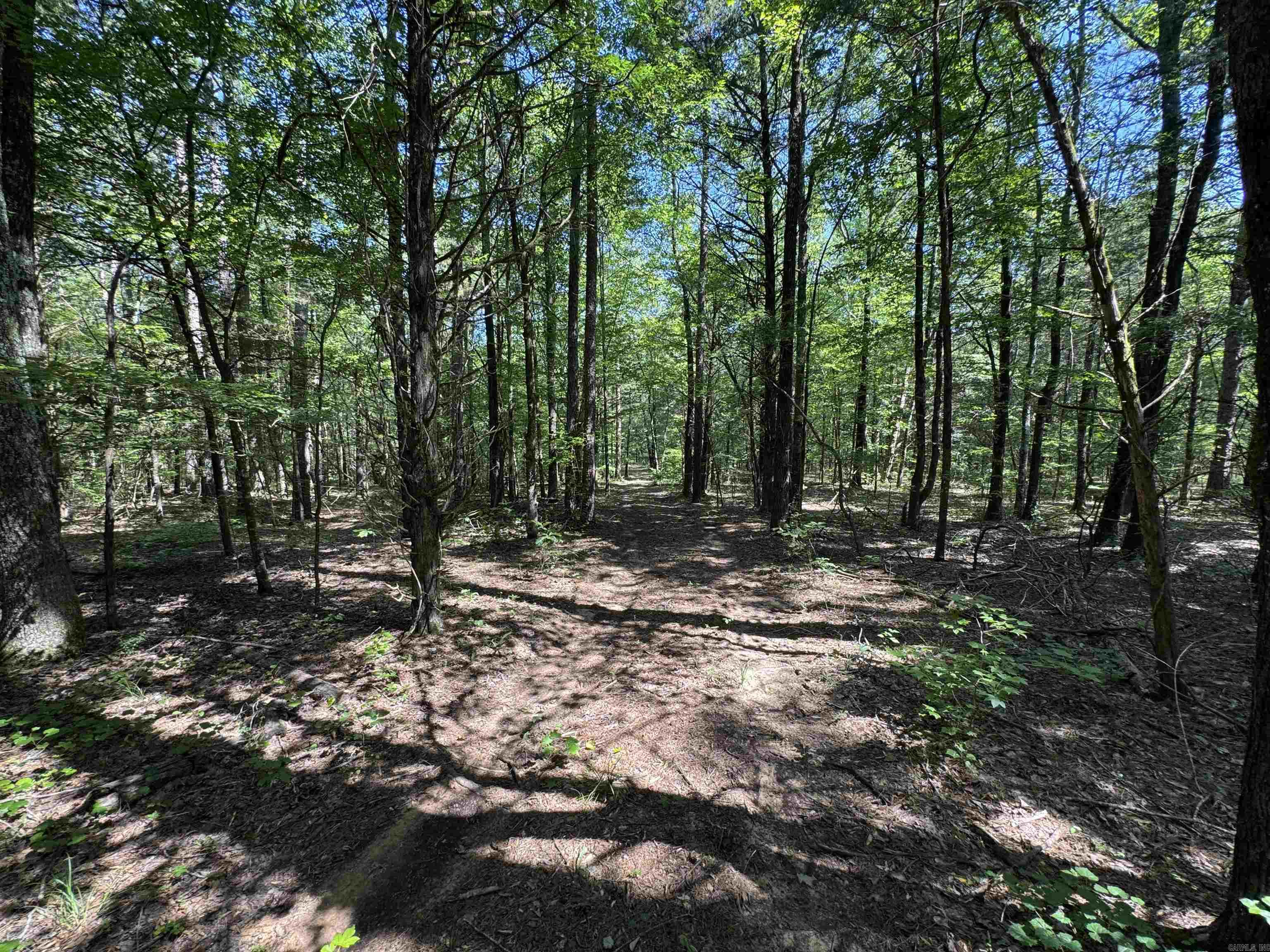 Tract 1 Waterside Drive Property Photo 28