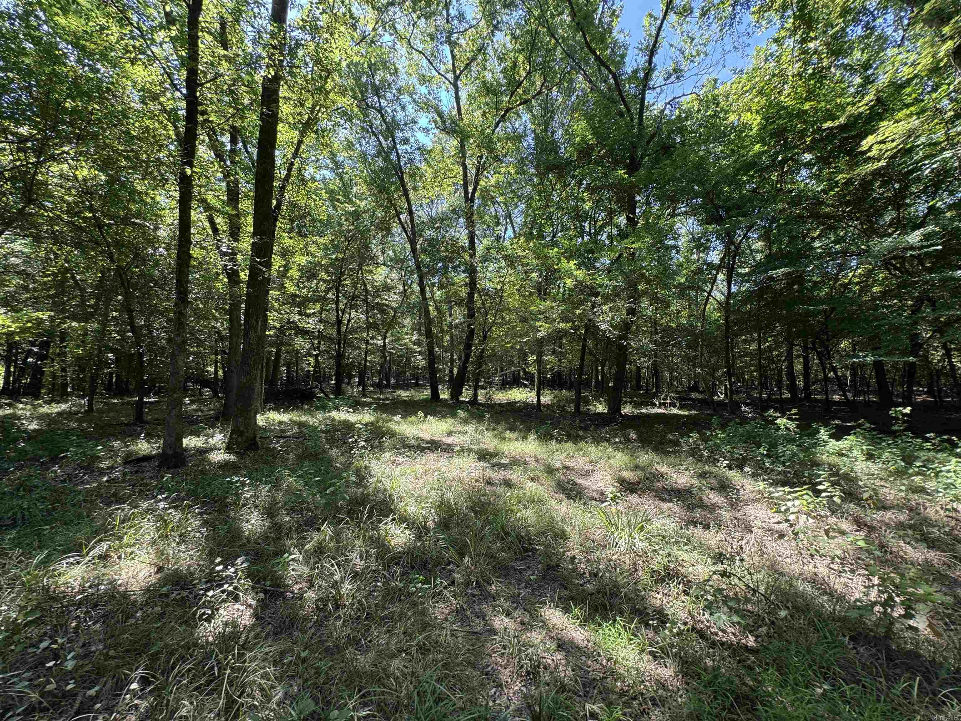 Tract 1 Waterside Drive Property Photo 33