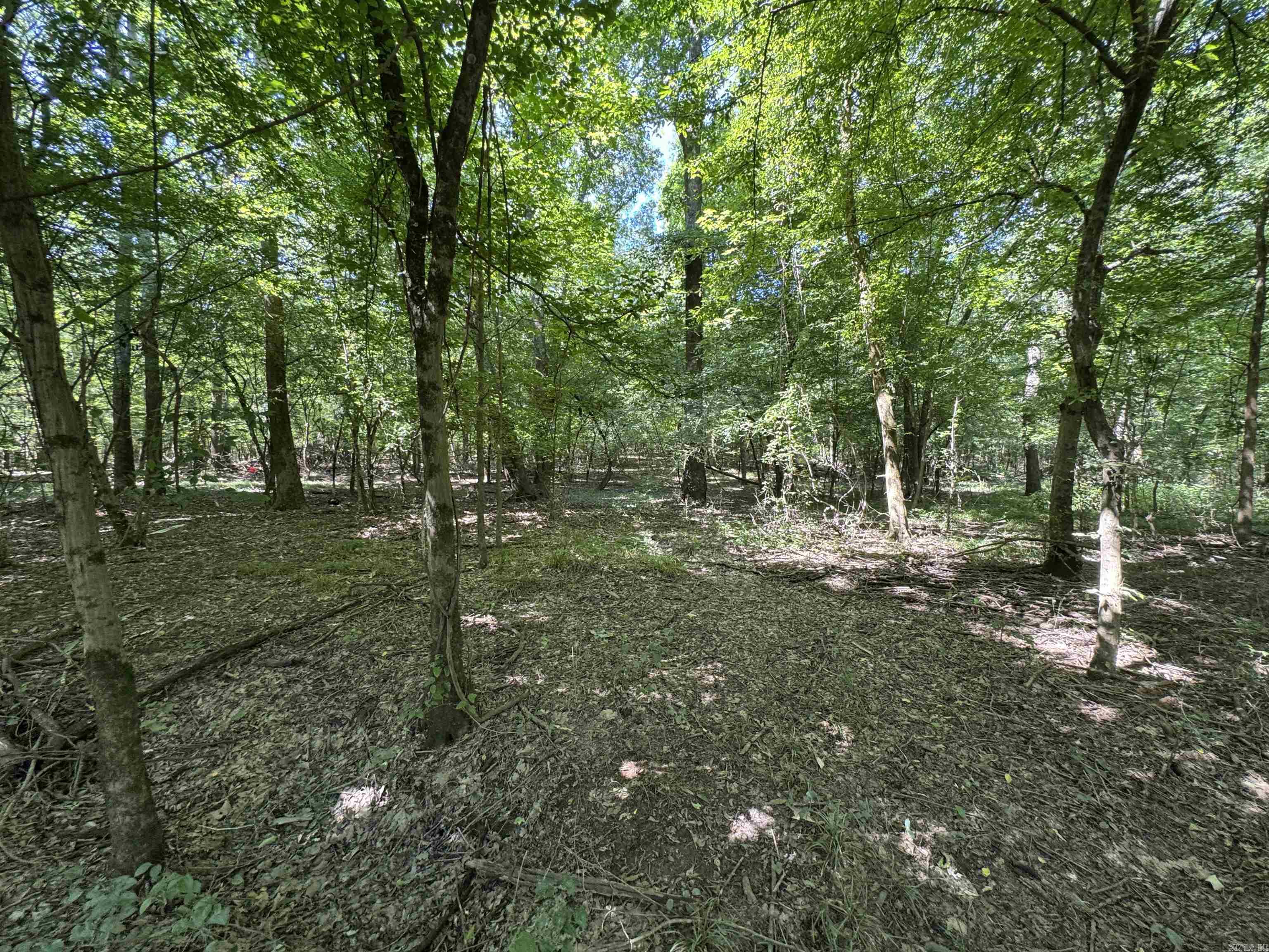 Tract 1 Waterside Drive Property Photo 38