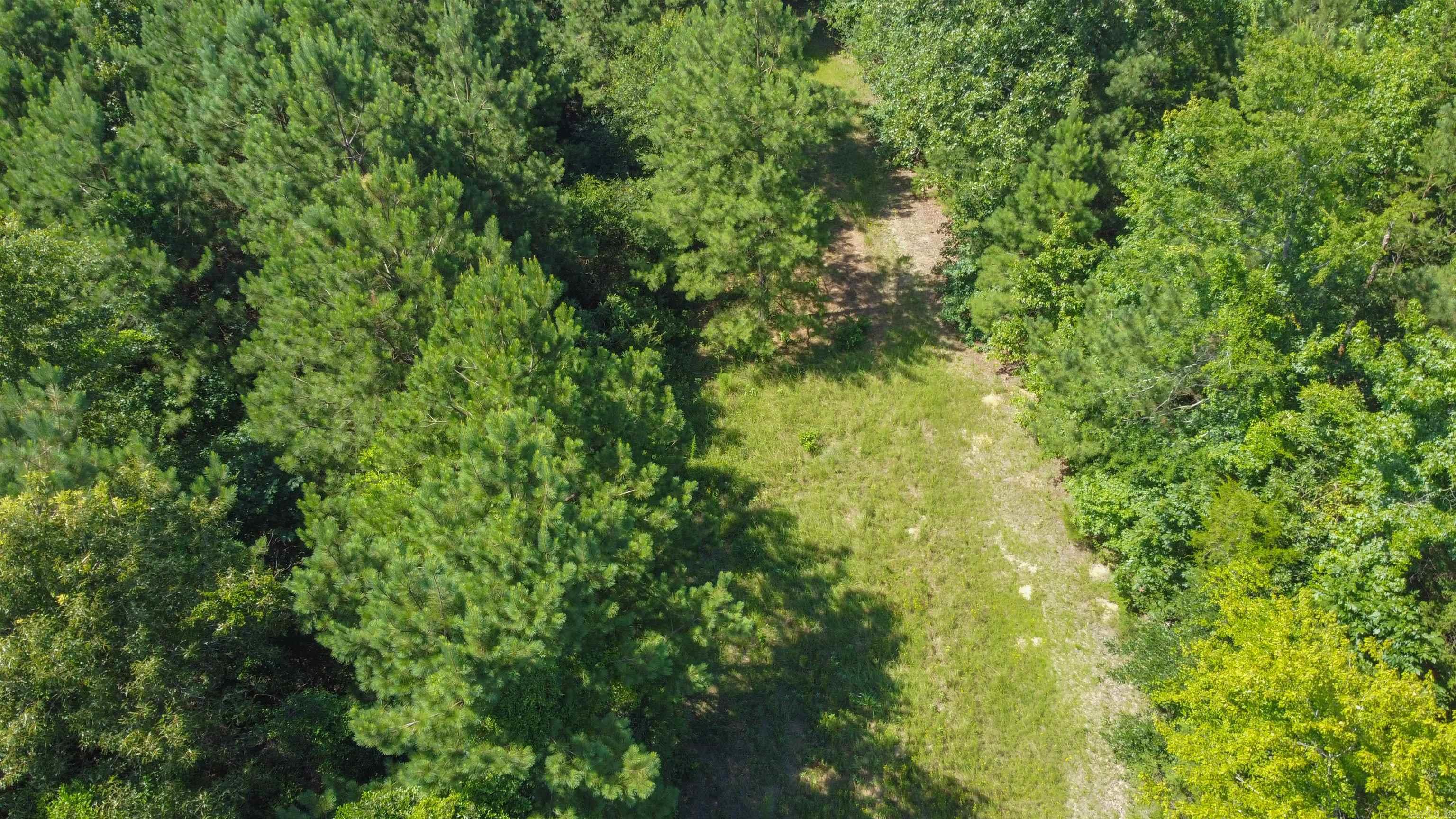 Tbd Fm 2327 Property Photo 4