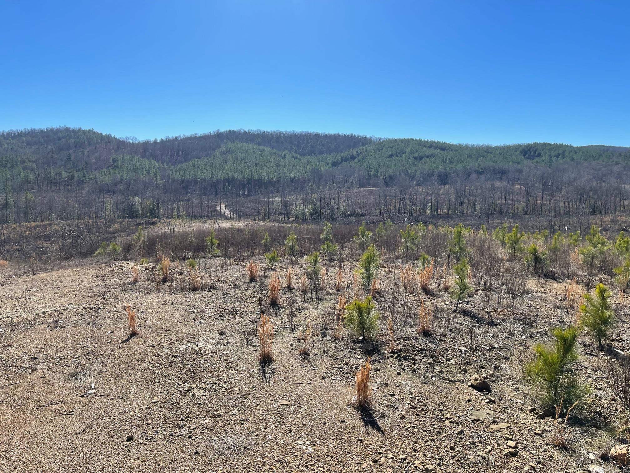 Tbd Weyco Road Property Photo 2