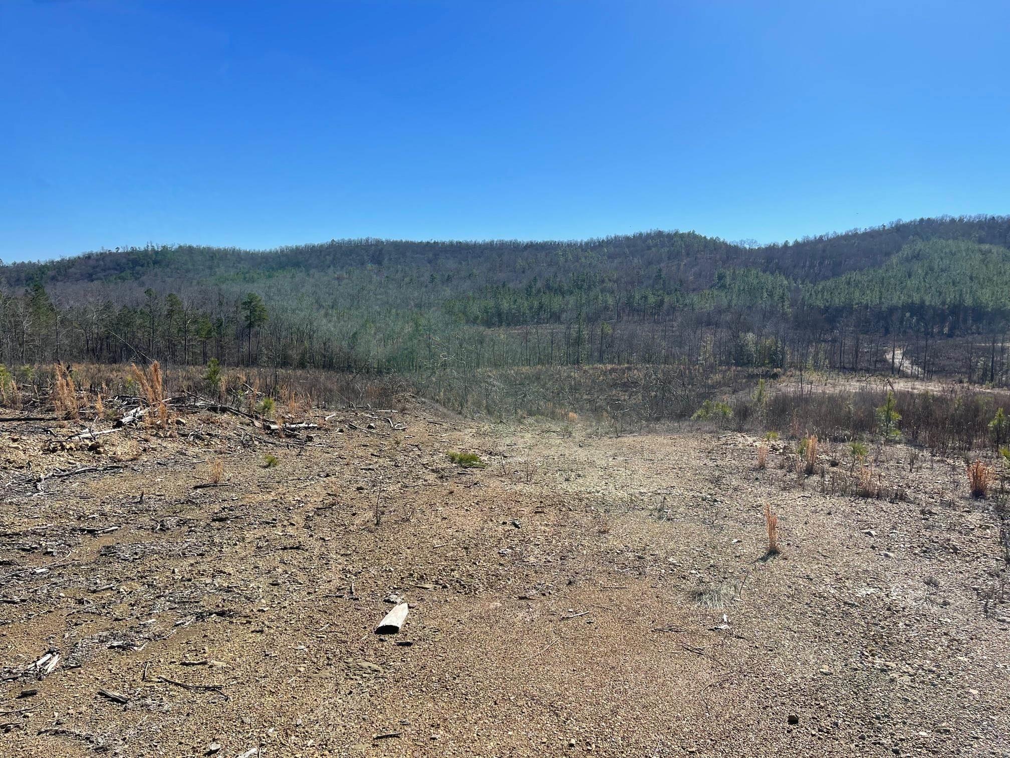 Tbd Weyco Road Property Photo 3