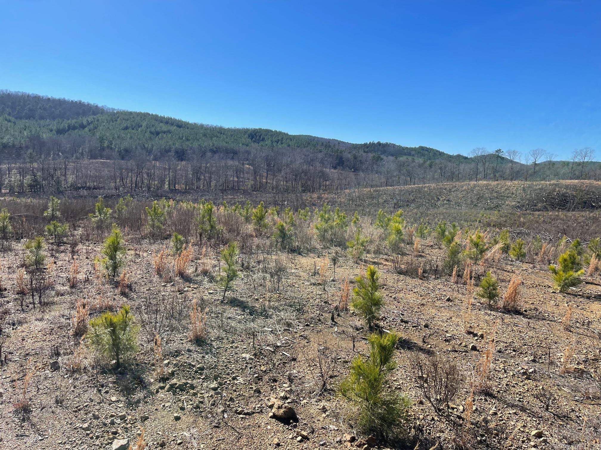 Tbd Weyco Road Property Photo 4