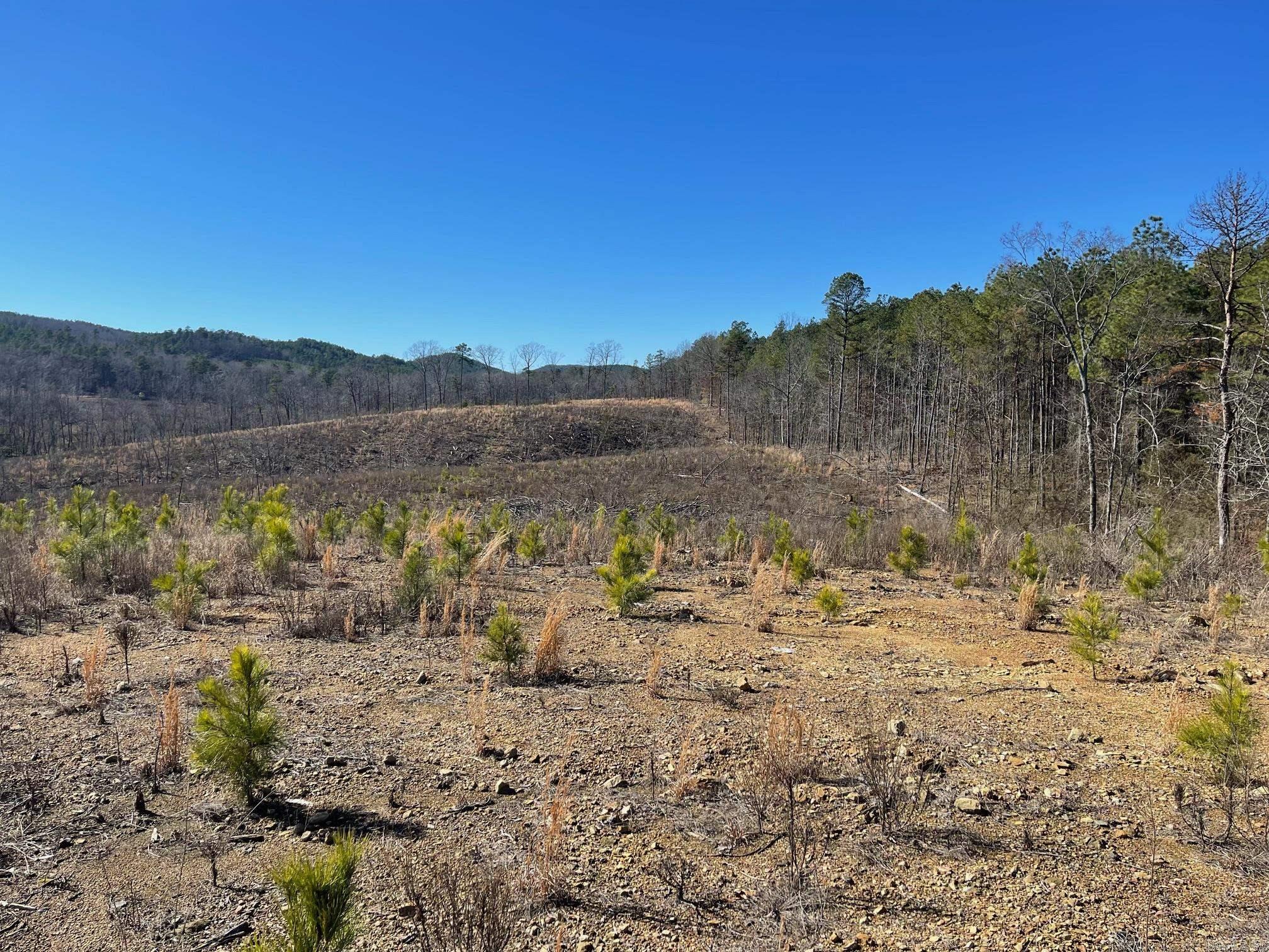 Tbd Weyco Road Property Photo 5