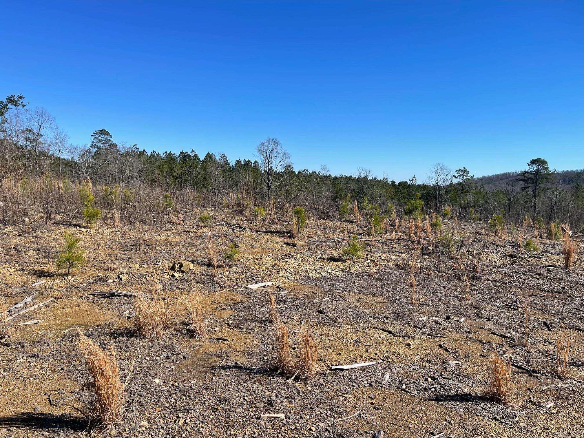 Tbd Weyco Road Property Photo 6