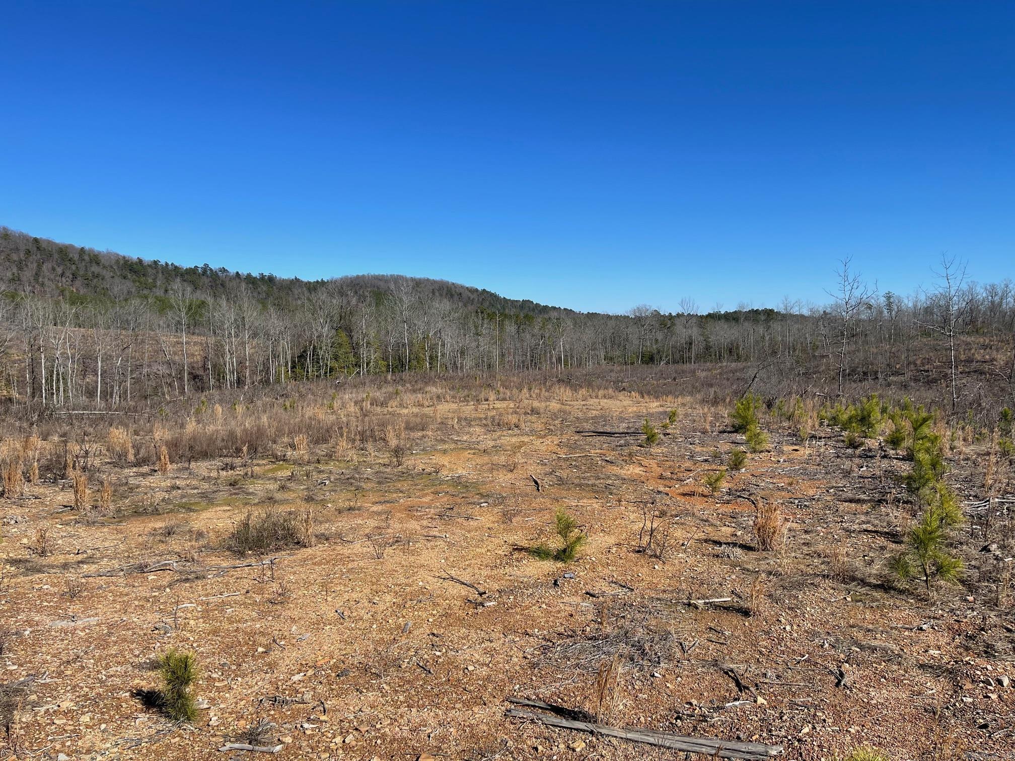 Tbd Weyco Road Property Photo 10