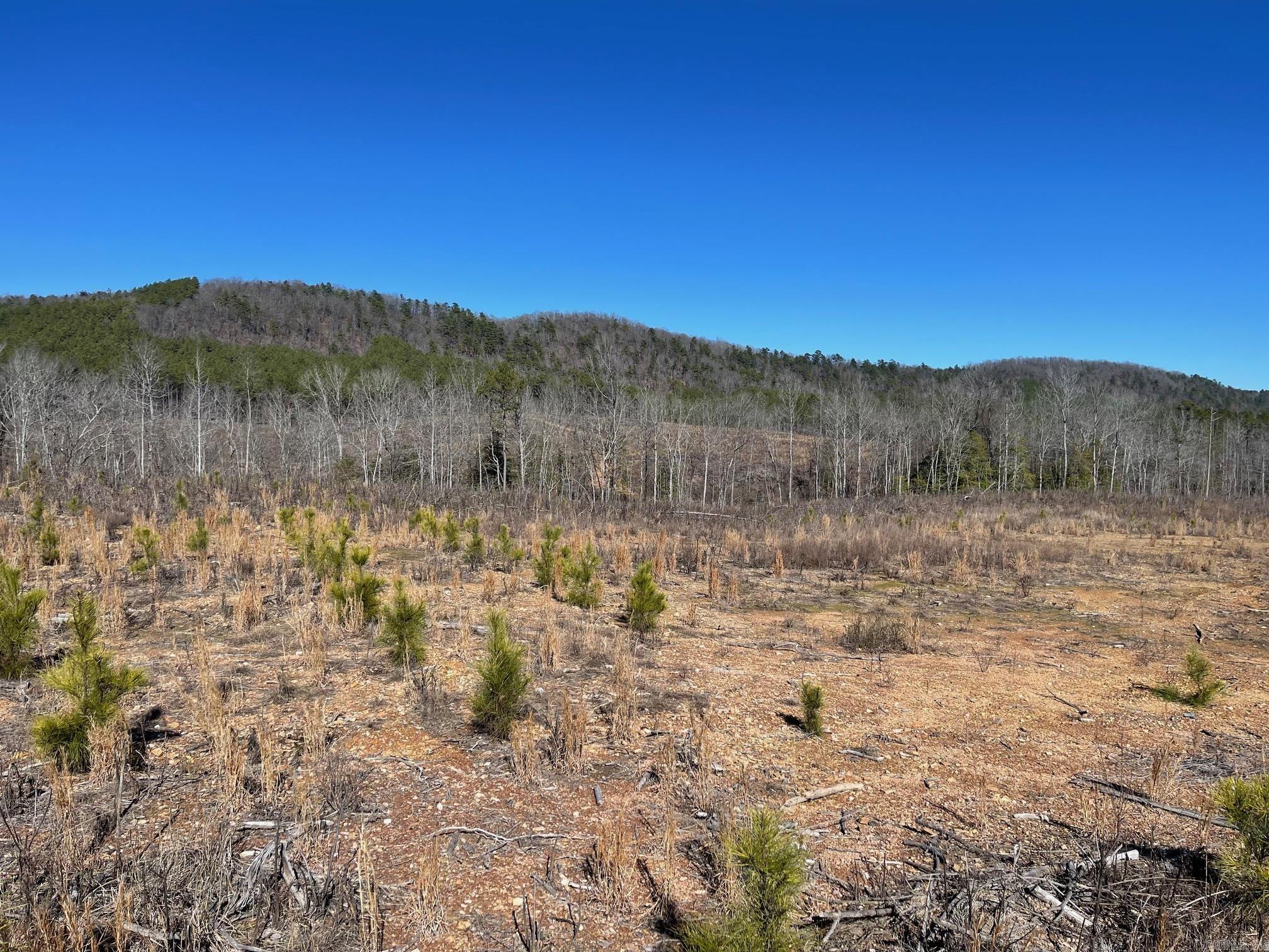Tbd Weyco Road Property Photo 11
