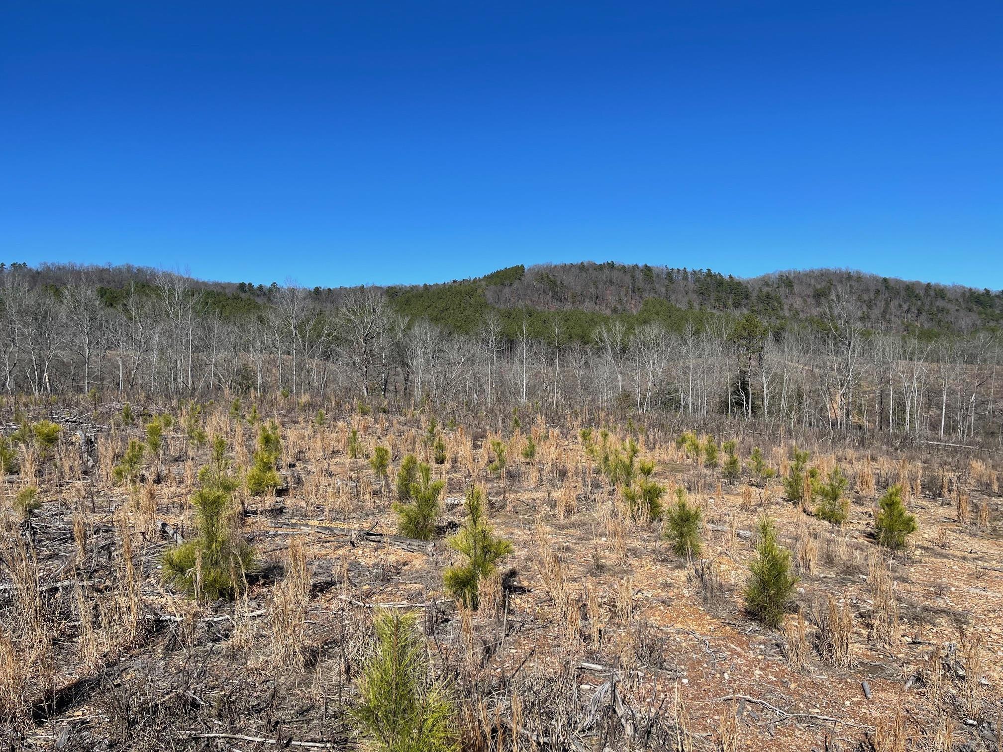Tbd Weyco Road Property Photo 12
