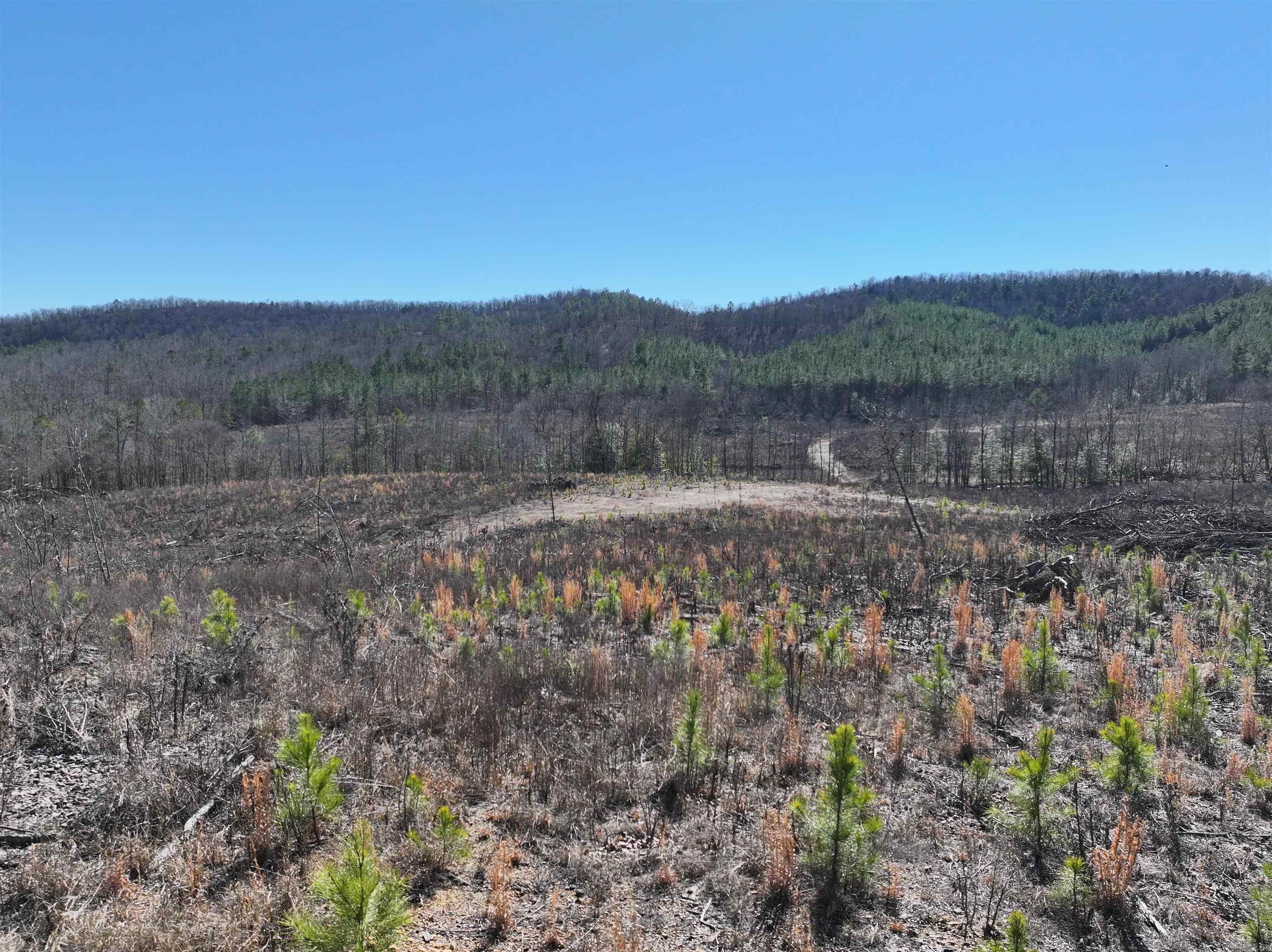 Tbd Weyco Road Property Photo 18
