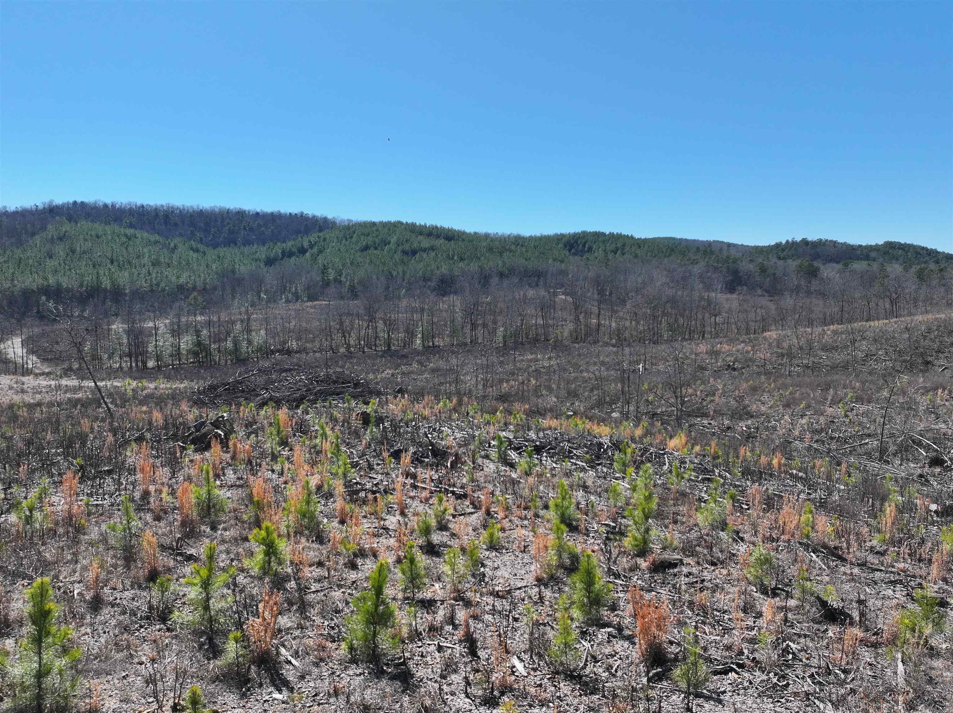 Tbd Weyco Road Property Photo 19