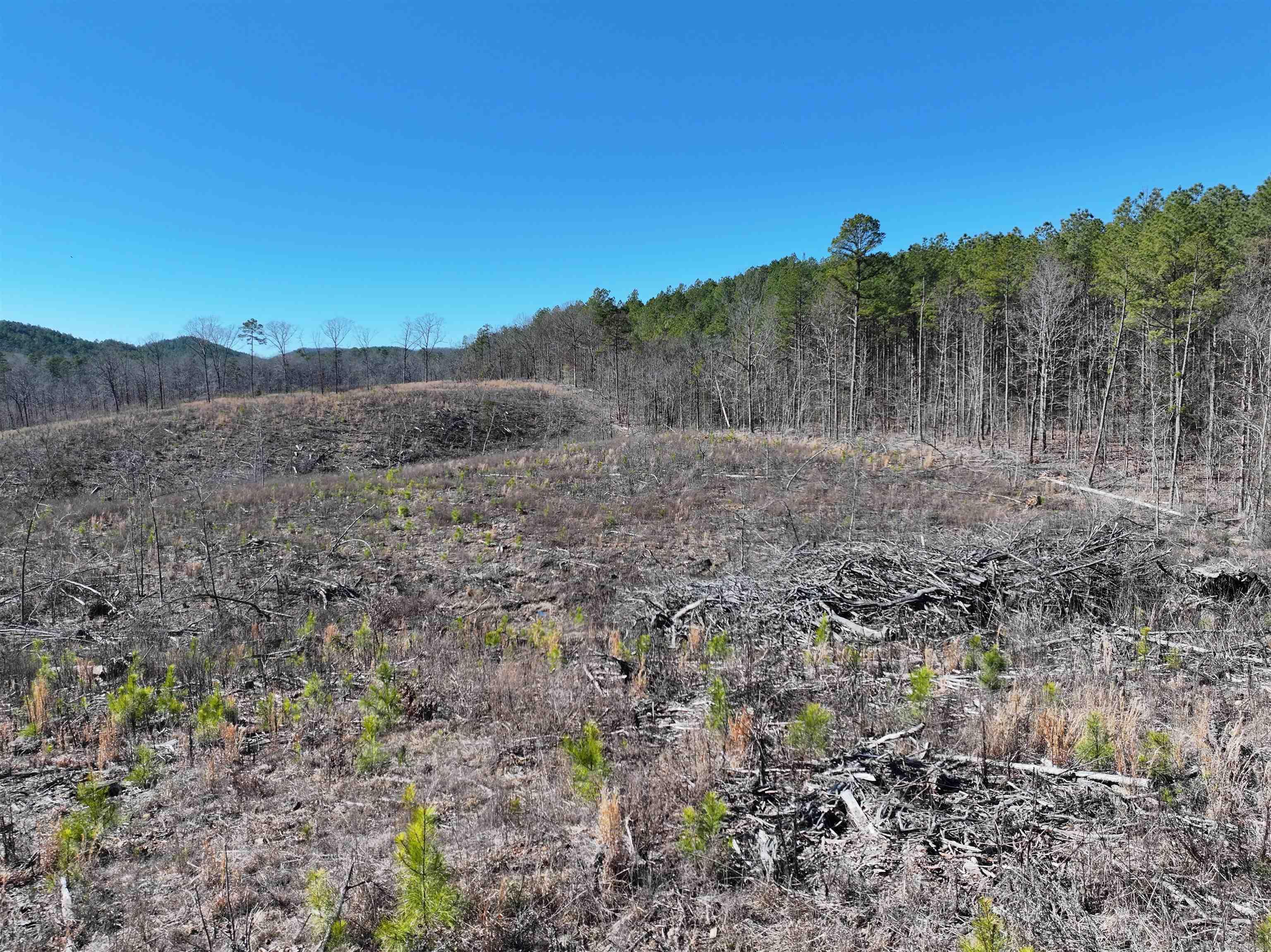 Tbd Weyco Road Property Photo 20