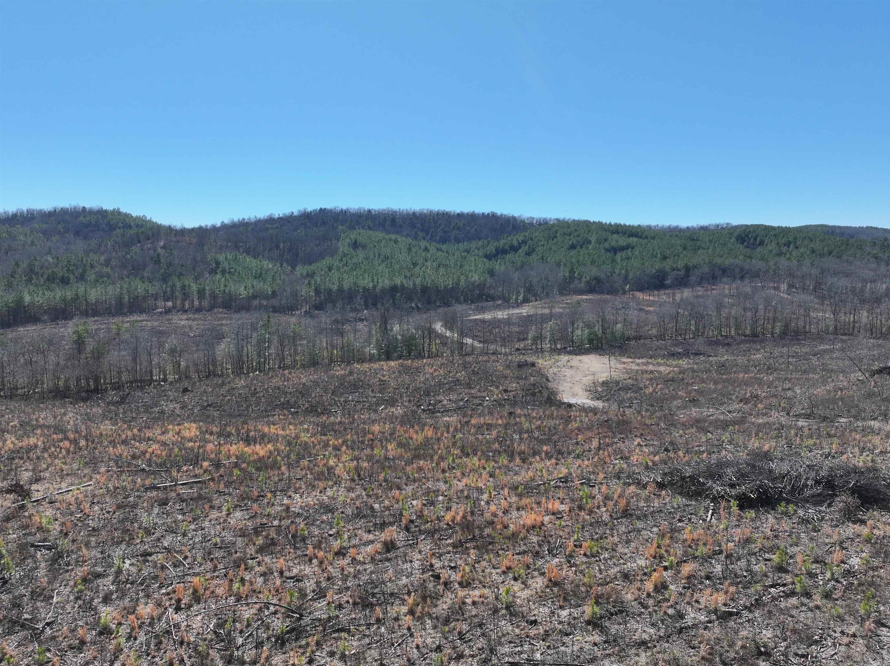 Tbd Weyco Road Property Photo 21