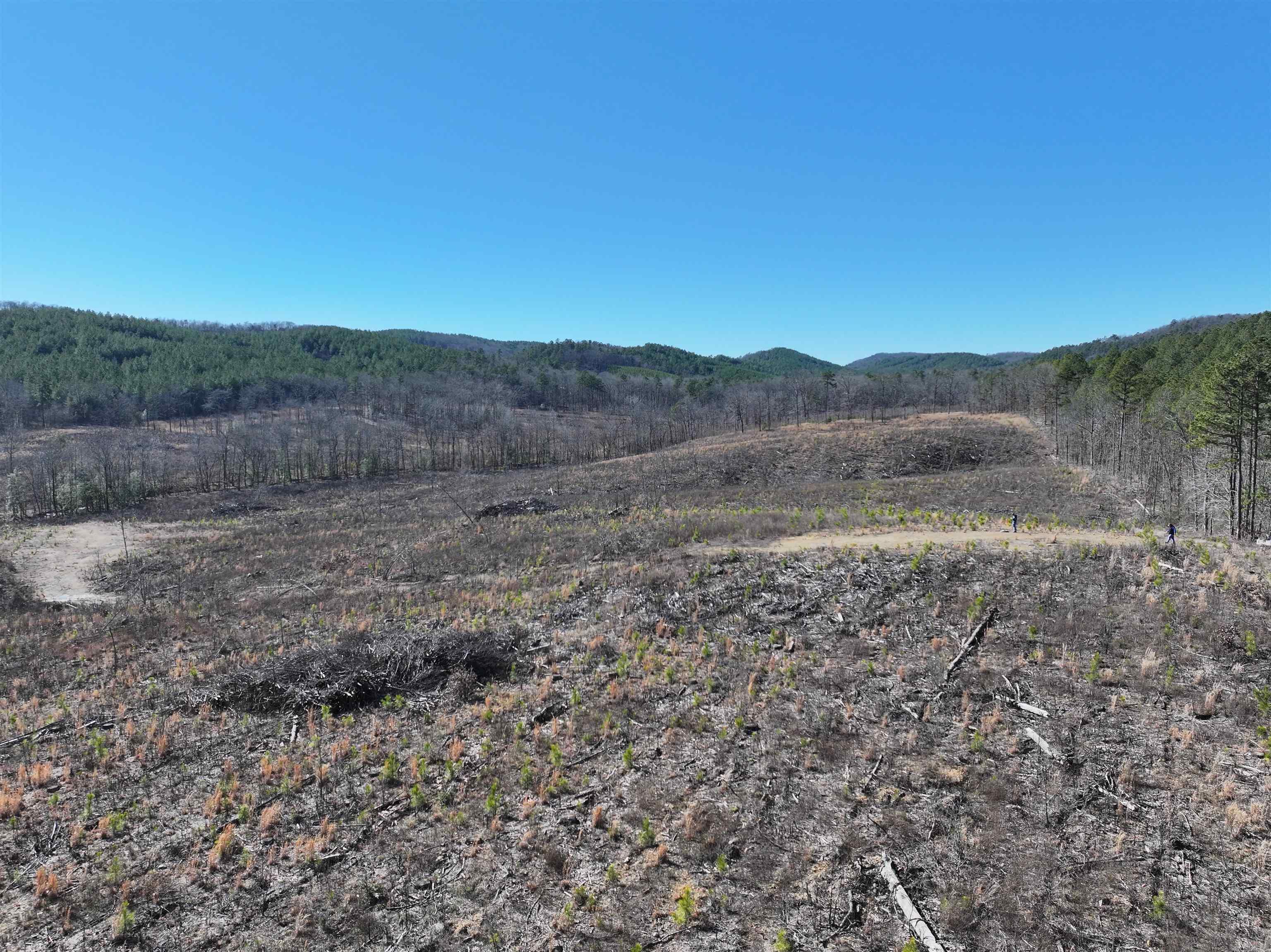Tbd Weyco Road Property Photo 22