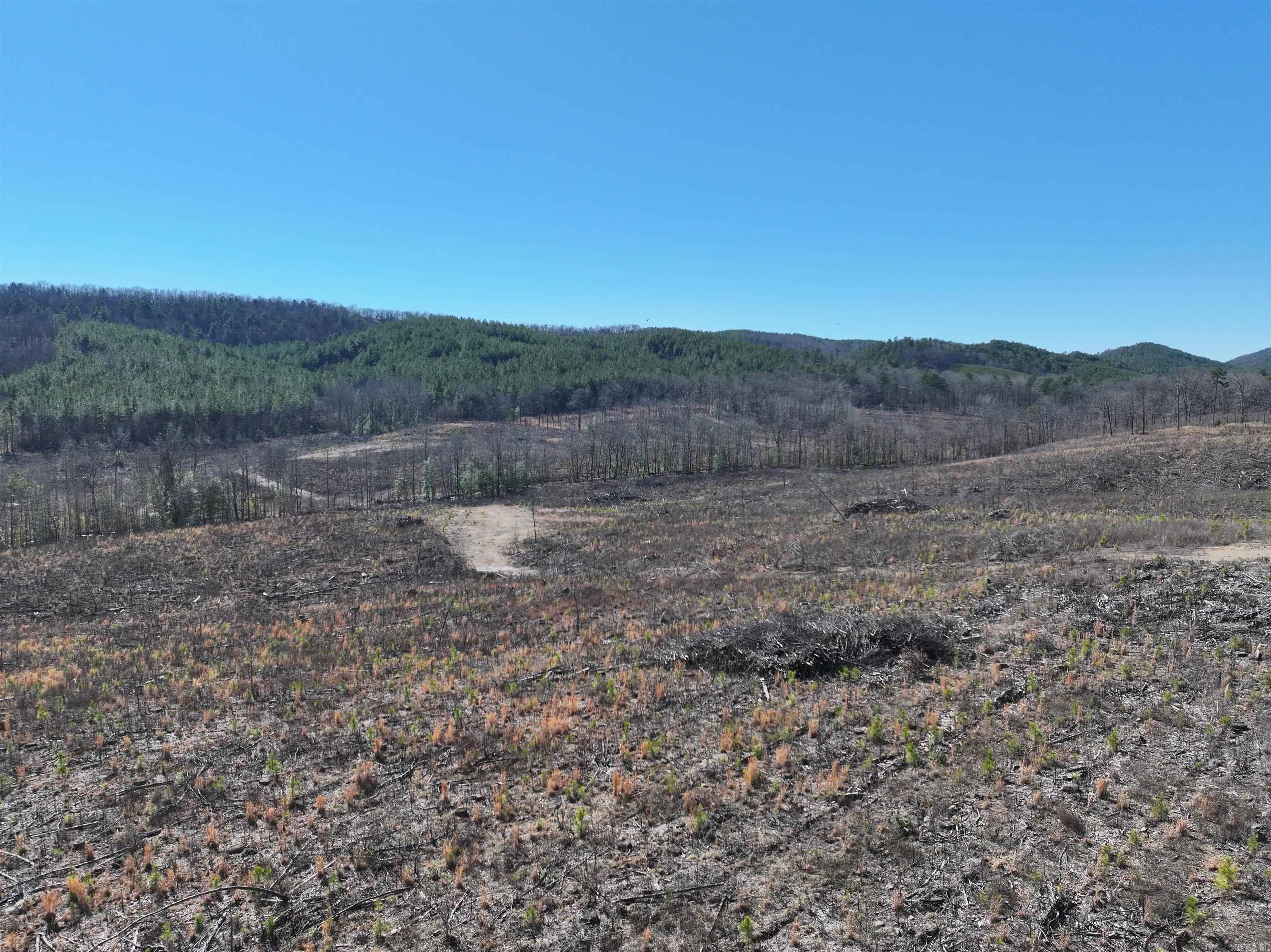 Tbd Weyco Road Property Photo 23