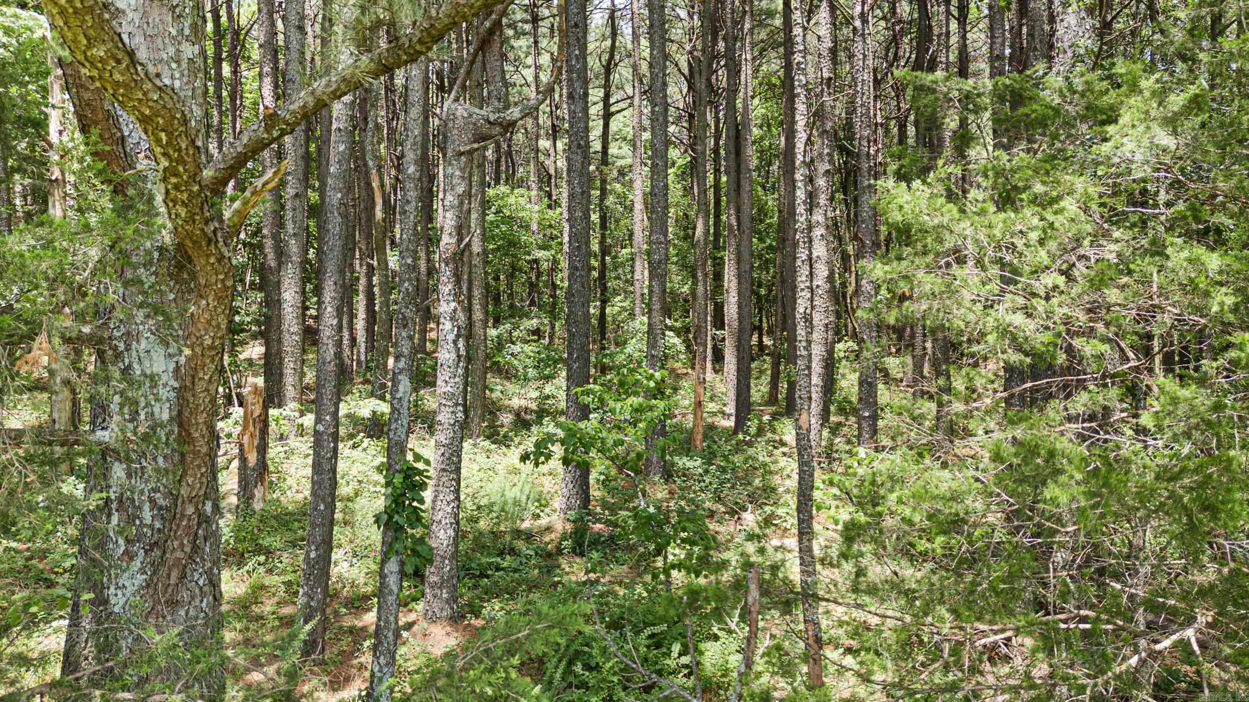 Ar 254 Highway Property Photo 6