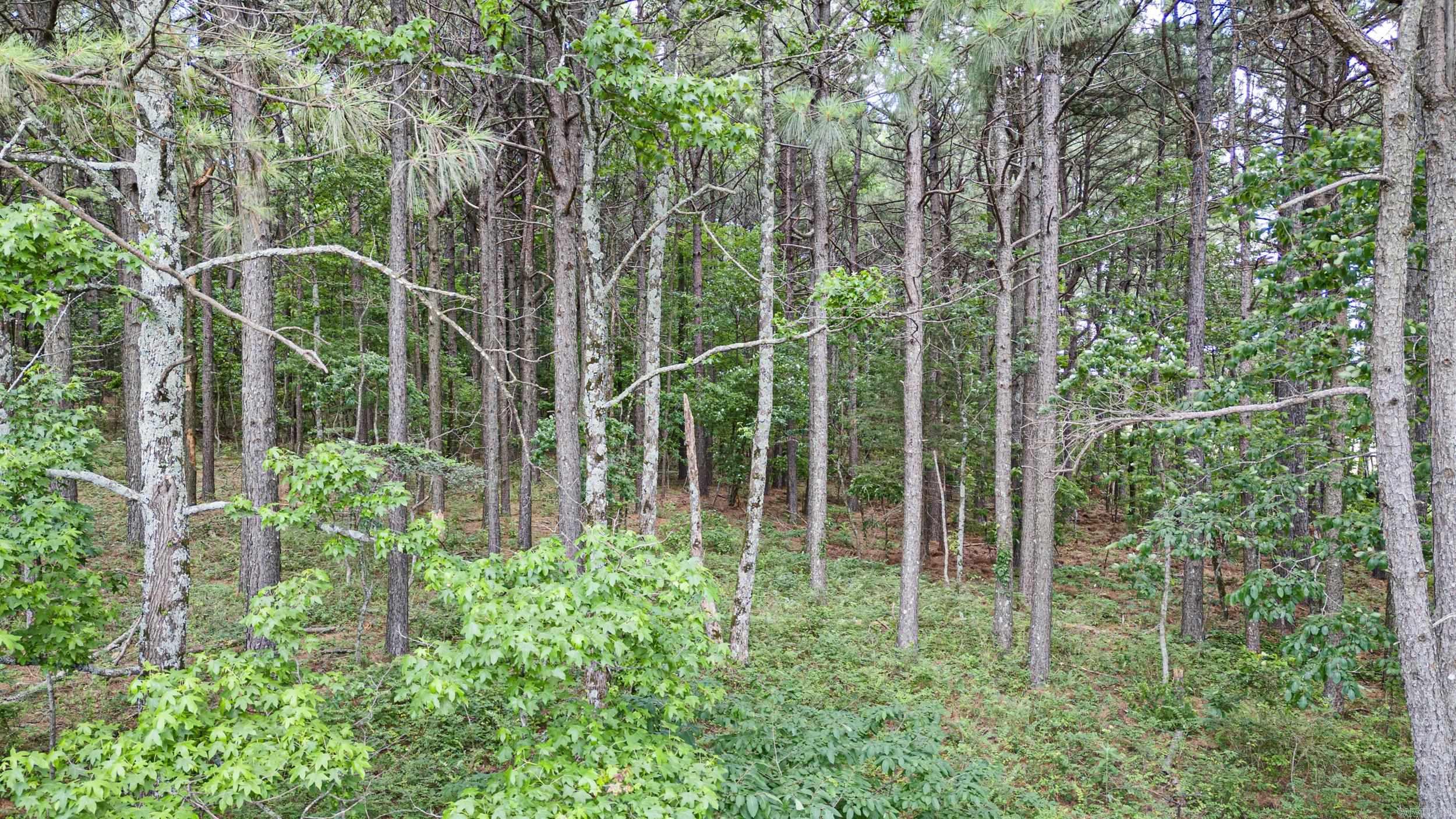 Ar 254 Highway Property Photo 7