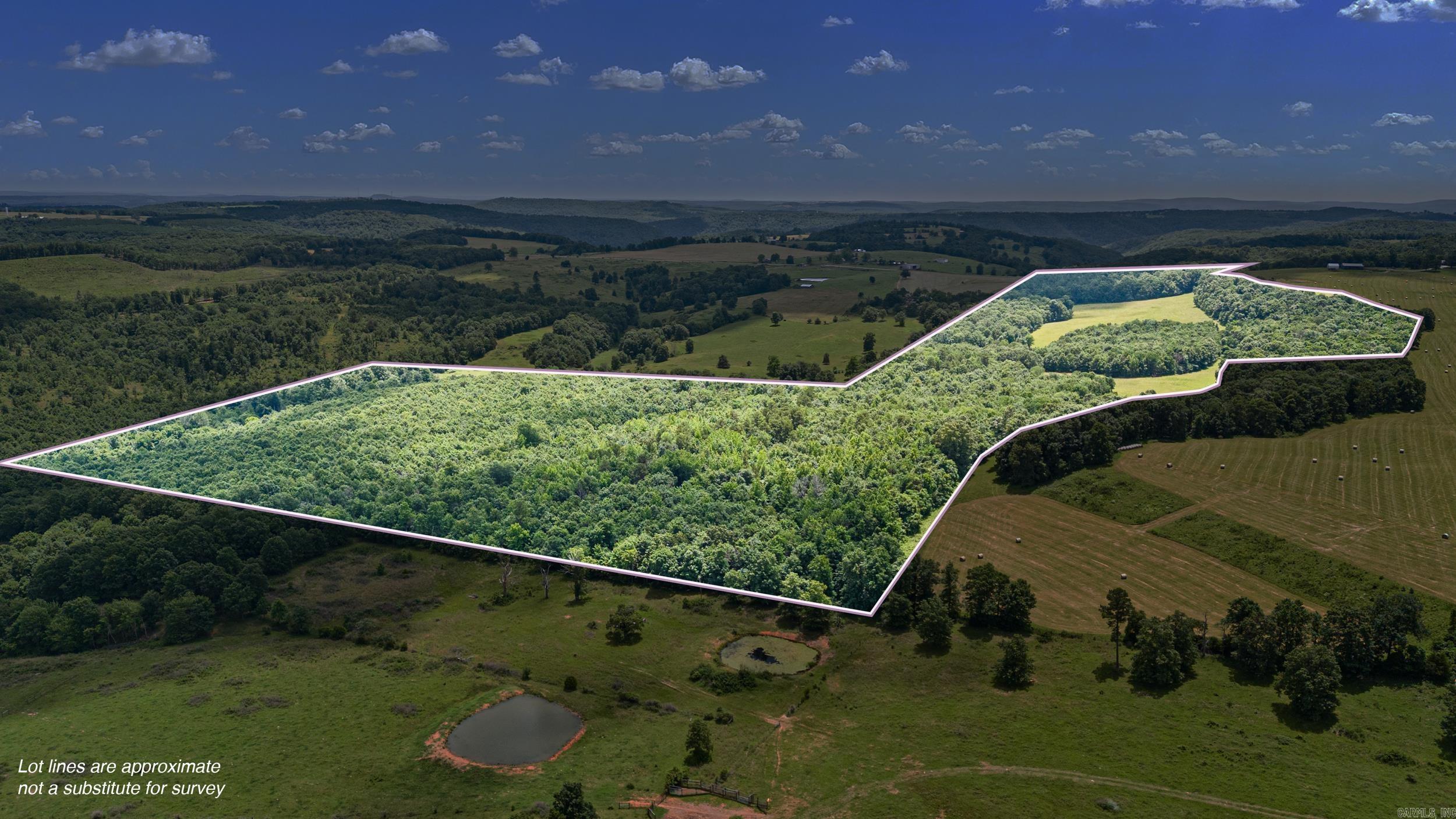 Ar 254 Highway Property Photo 10