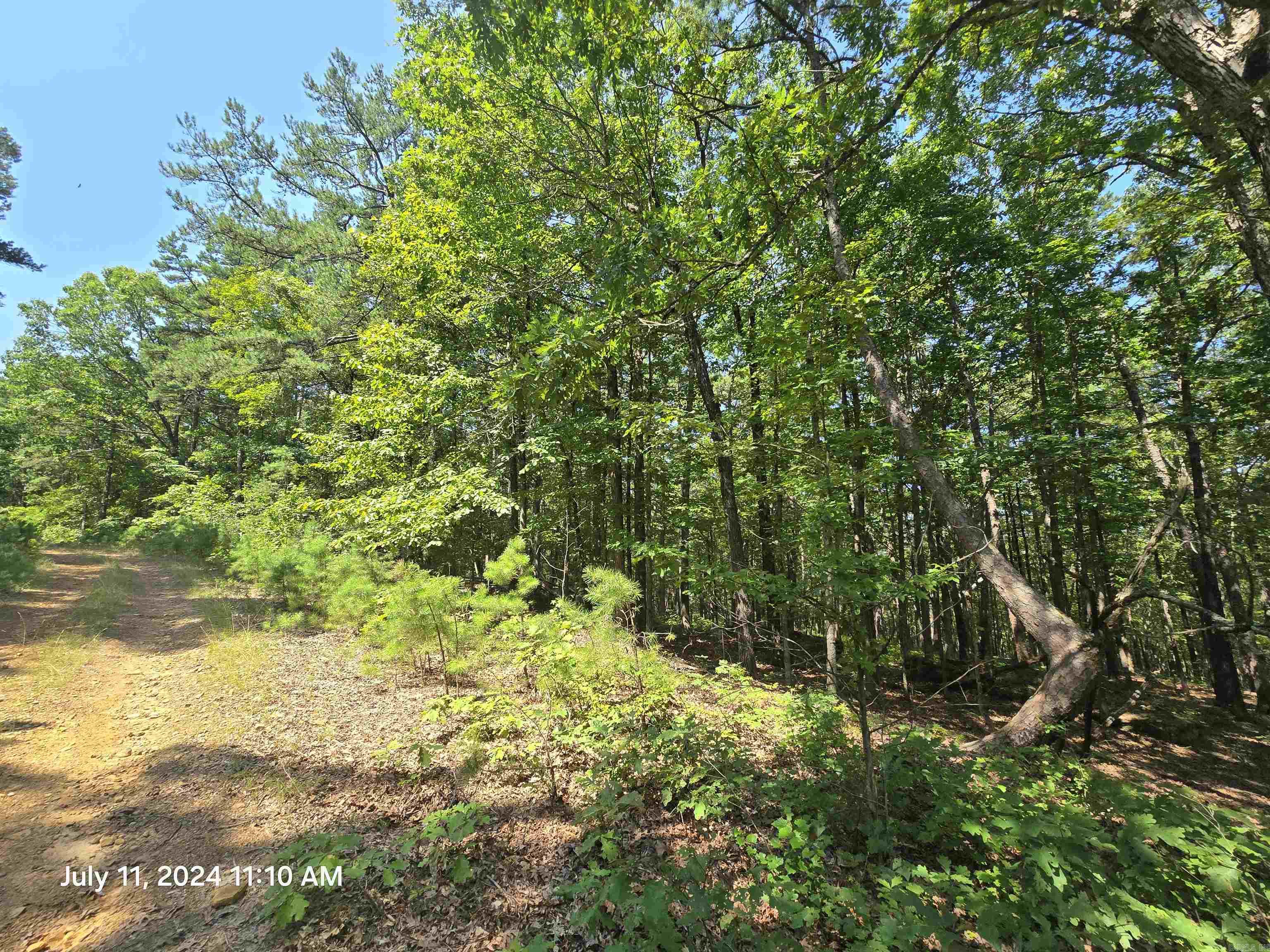 0 Diamond Lane Property Photo 2