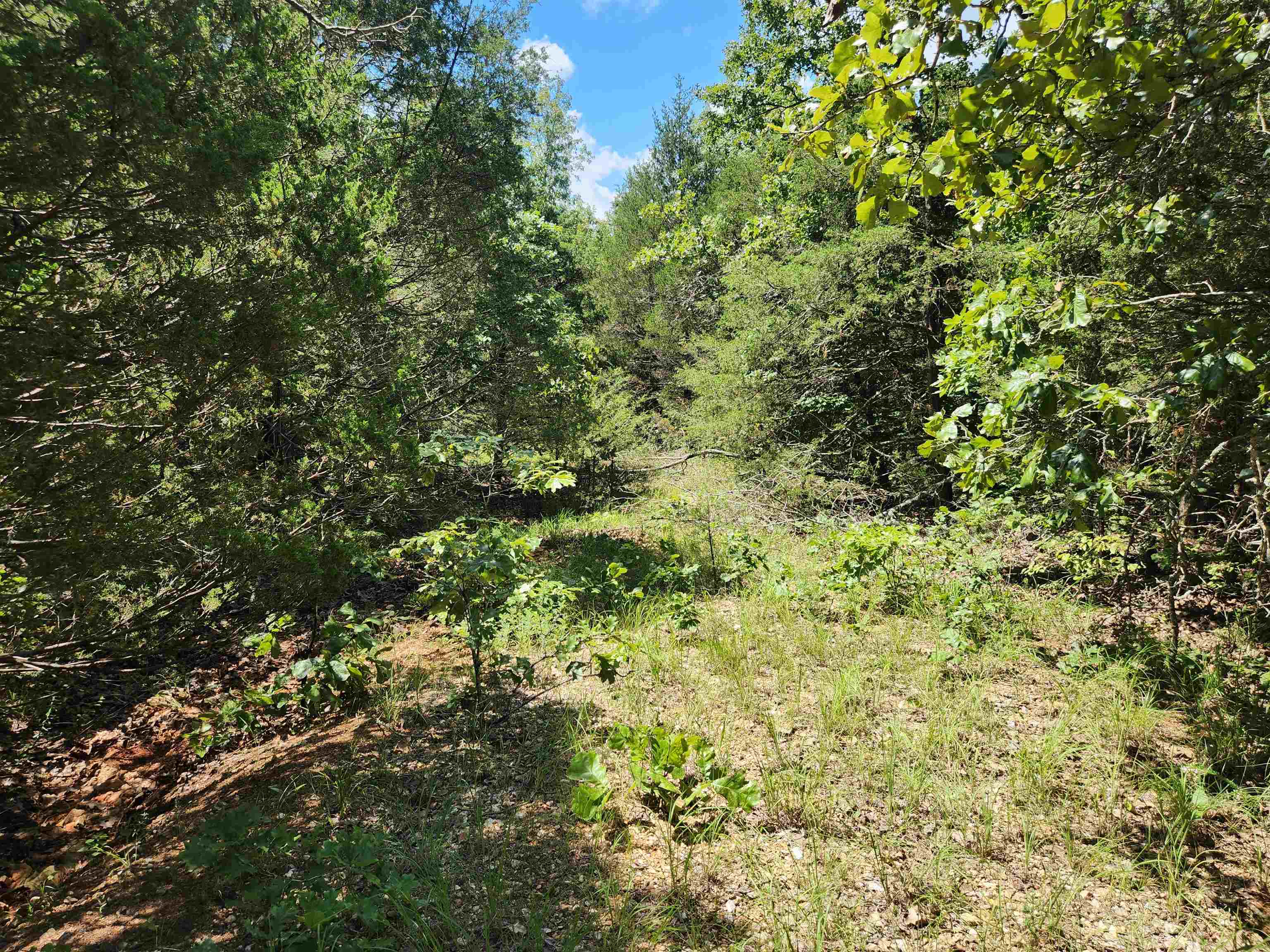 L35b2 Black Cloud Circle Property Photo 2
