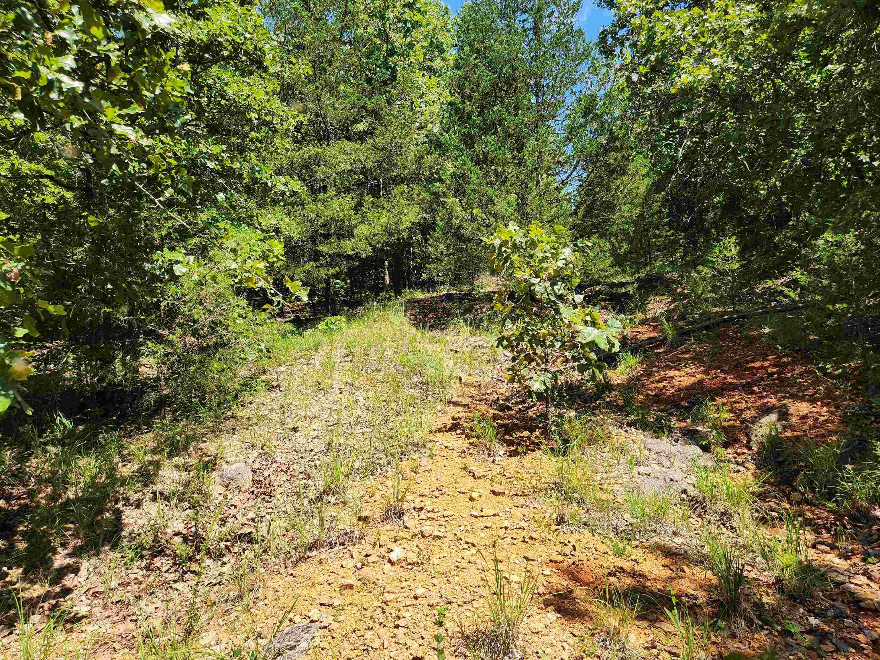 L35b2 Black Cloud Circle Property Photo 3