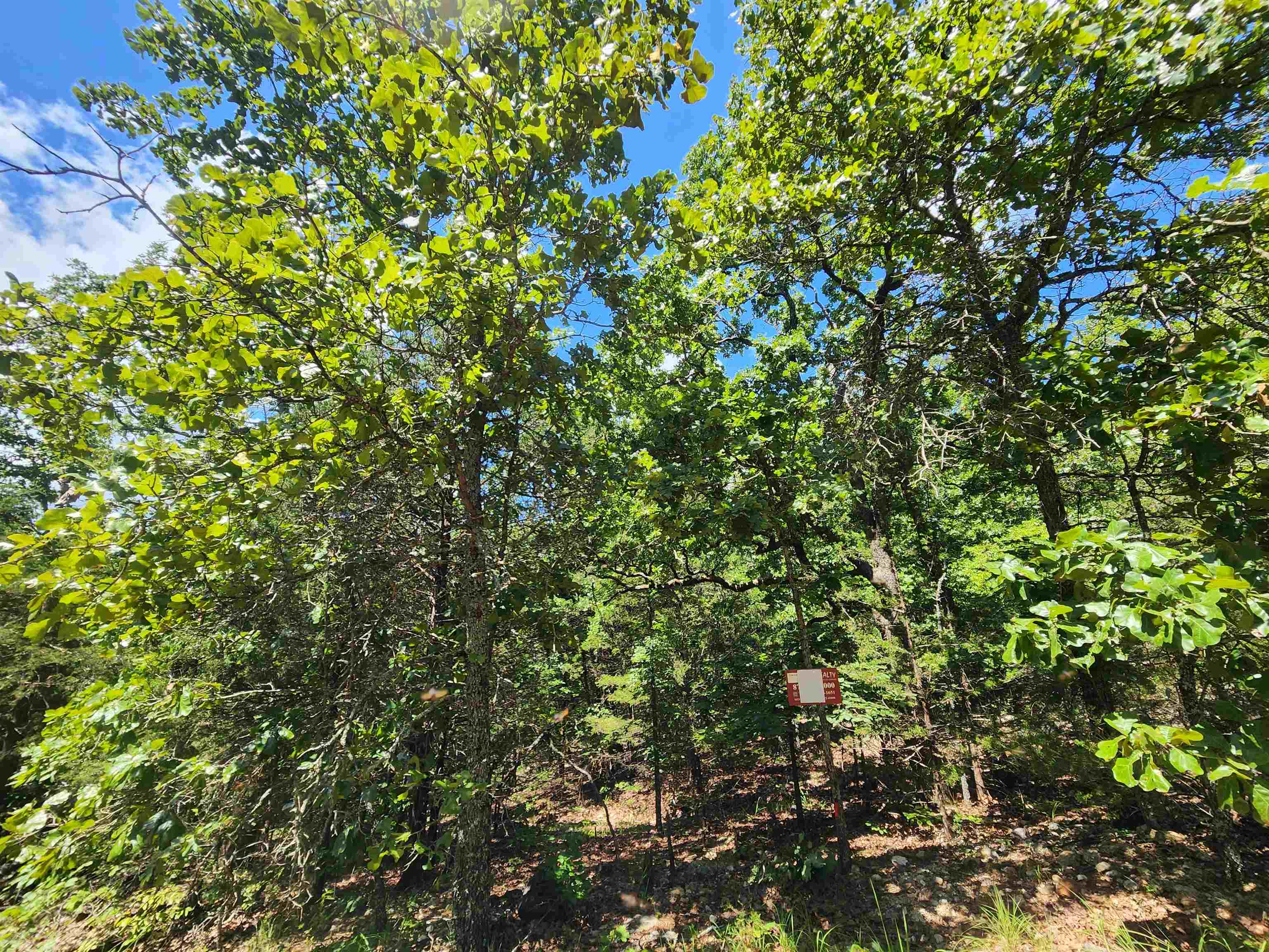 L35b2 Black Cloud Circle Property Photo 7