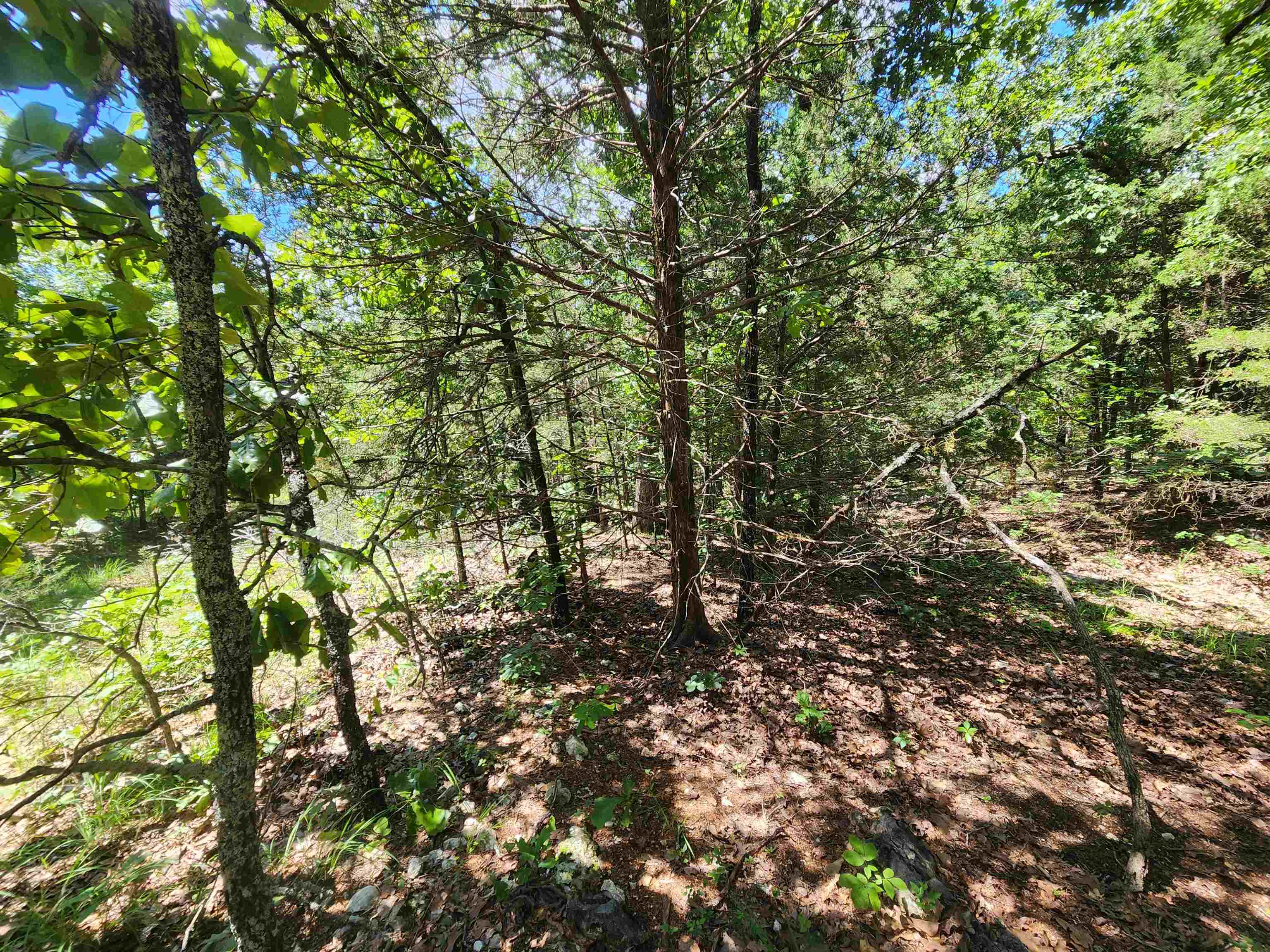 L35b2 Black Cloud Circle Property Photo 10