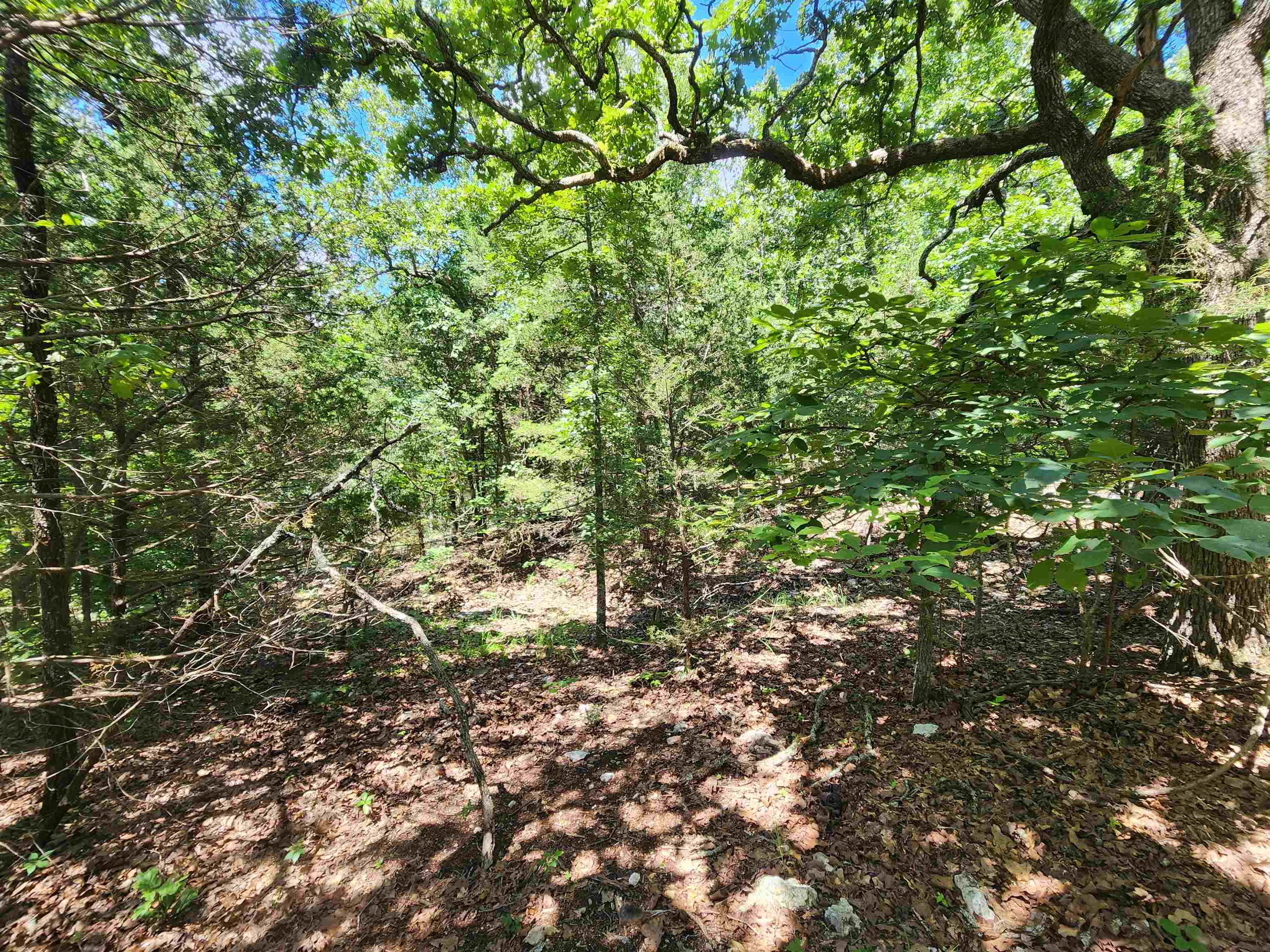 L35b2 Black Cloud Circle Property Photo 11