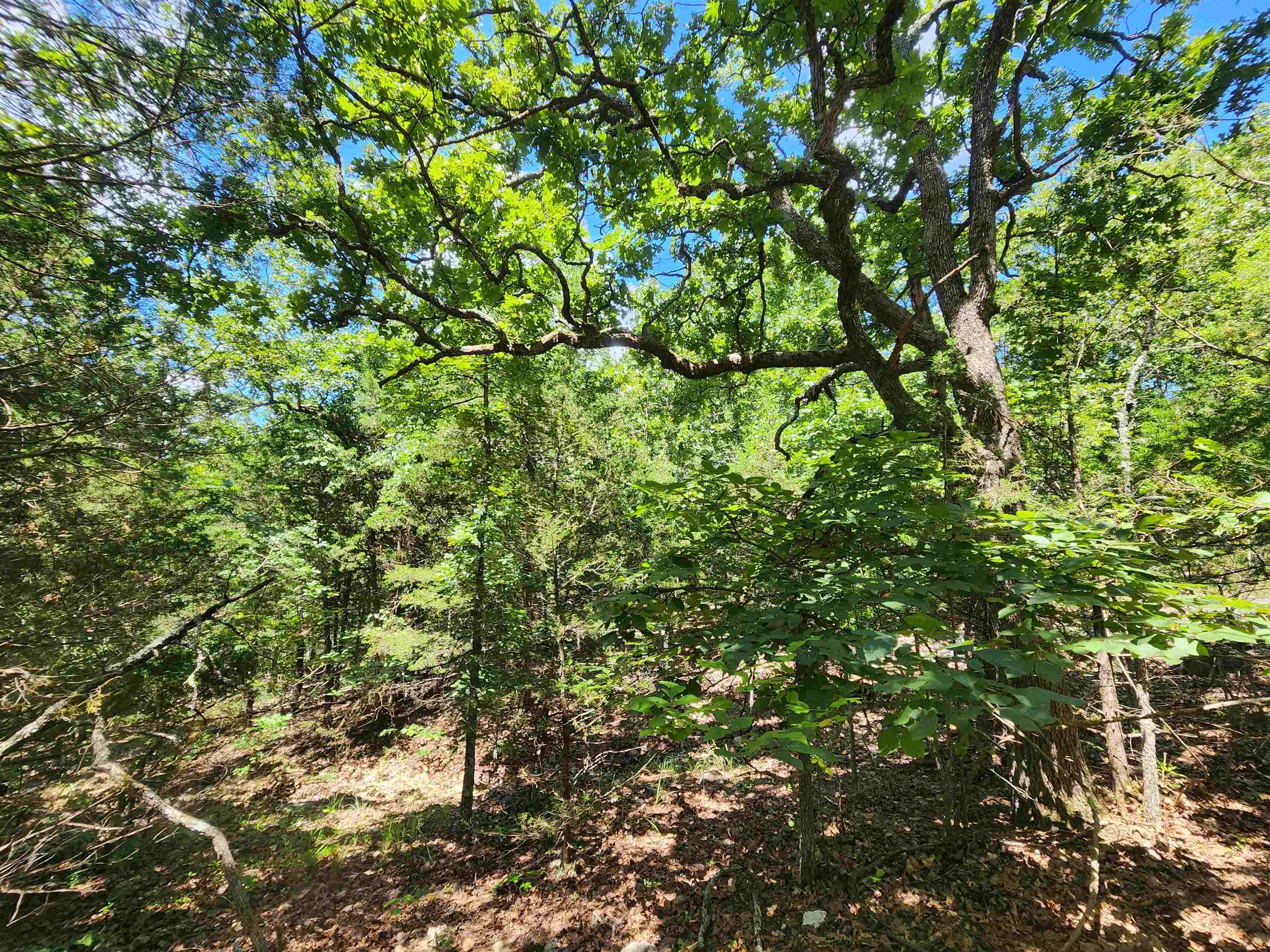 L35b2 Black Cloud Circle Property Photo 12