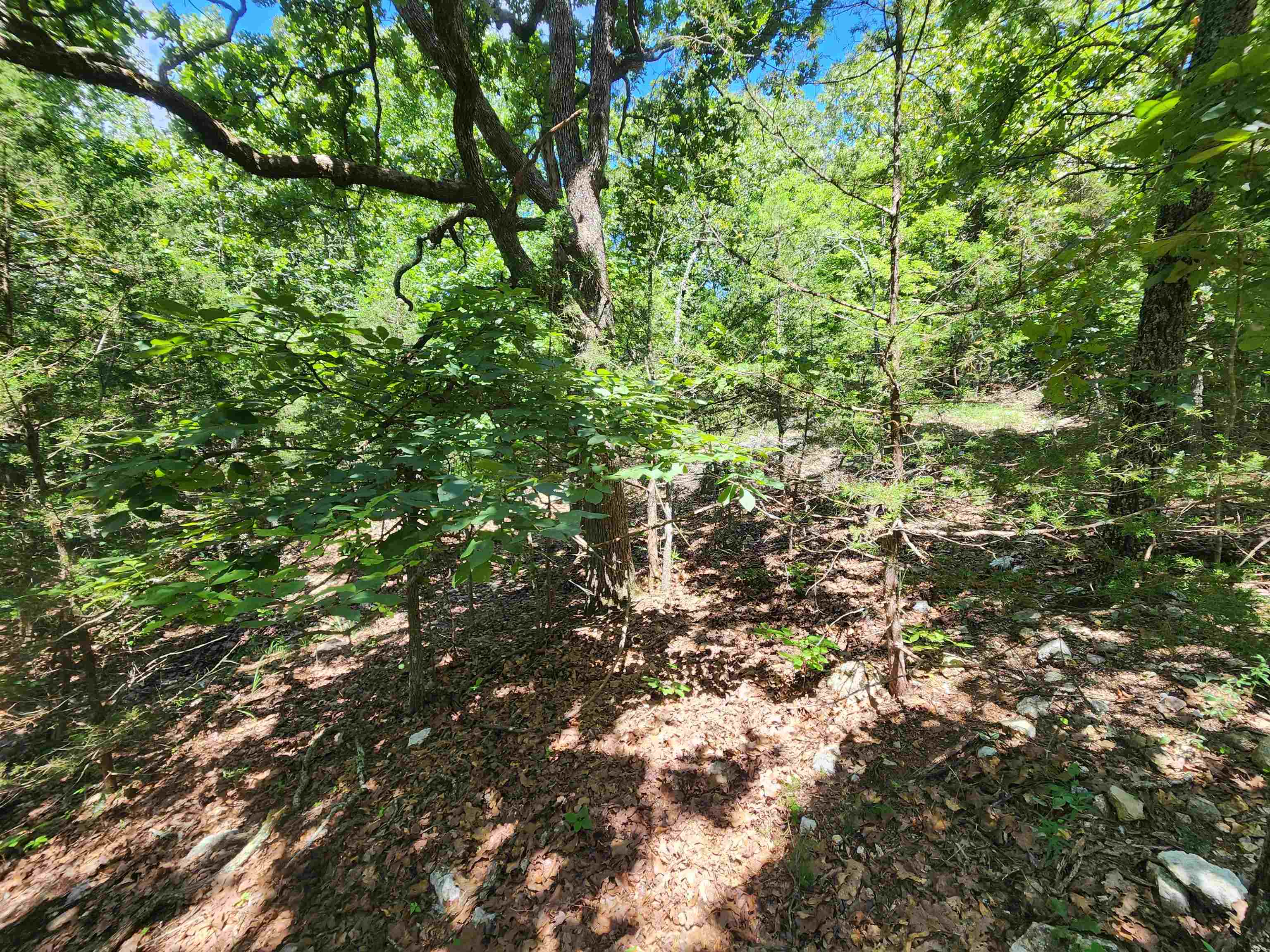 L35b2 Black Cloud Circle Property Photo 13