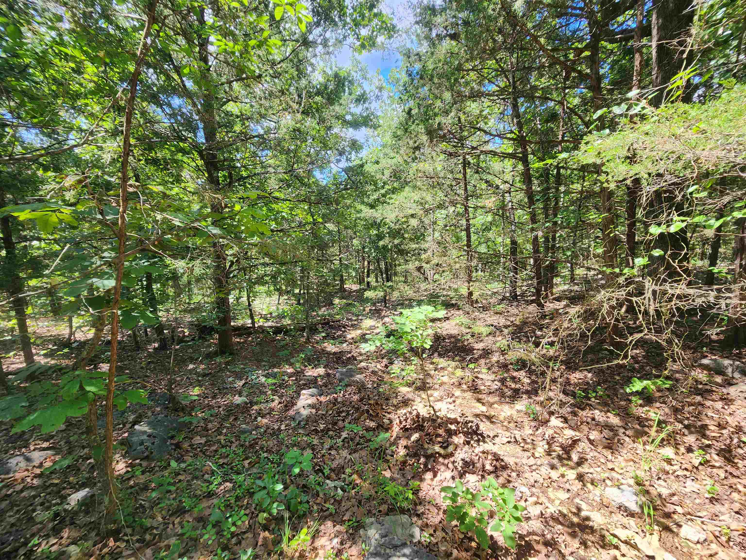L35b2 Black Cloud Circle Property Photo 15
