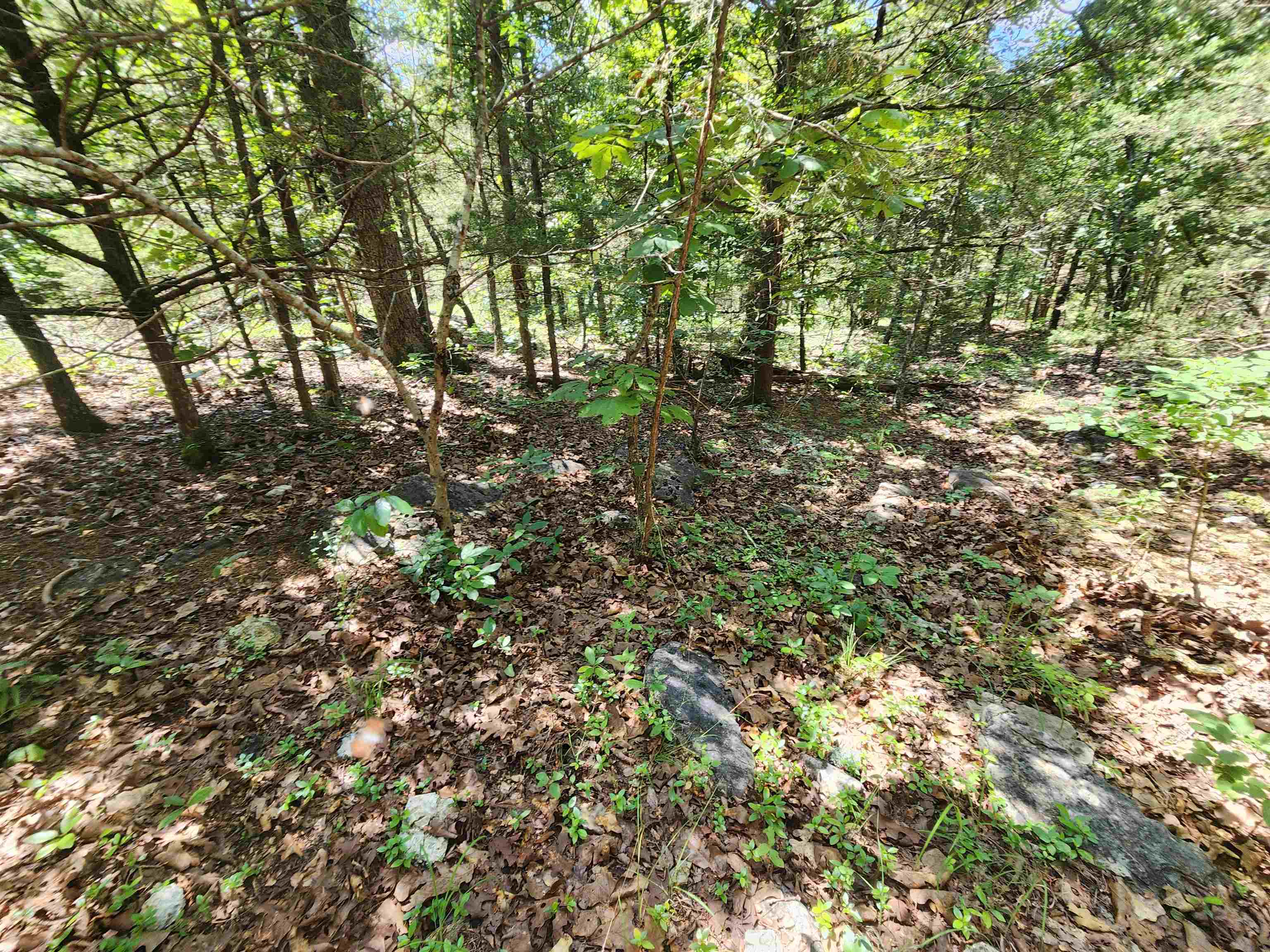 L35b2 Black Cloud Circle Property Photo 16