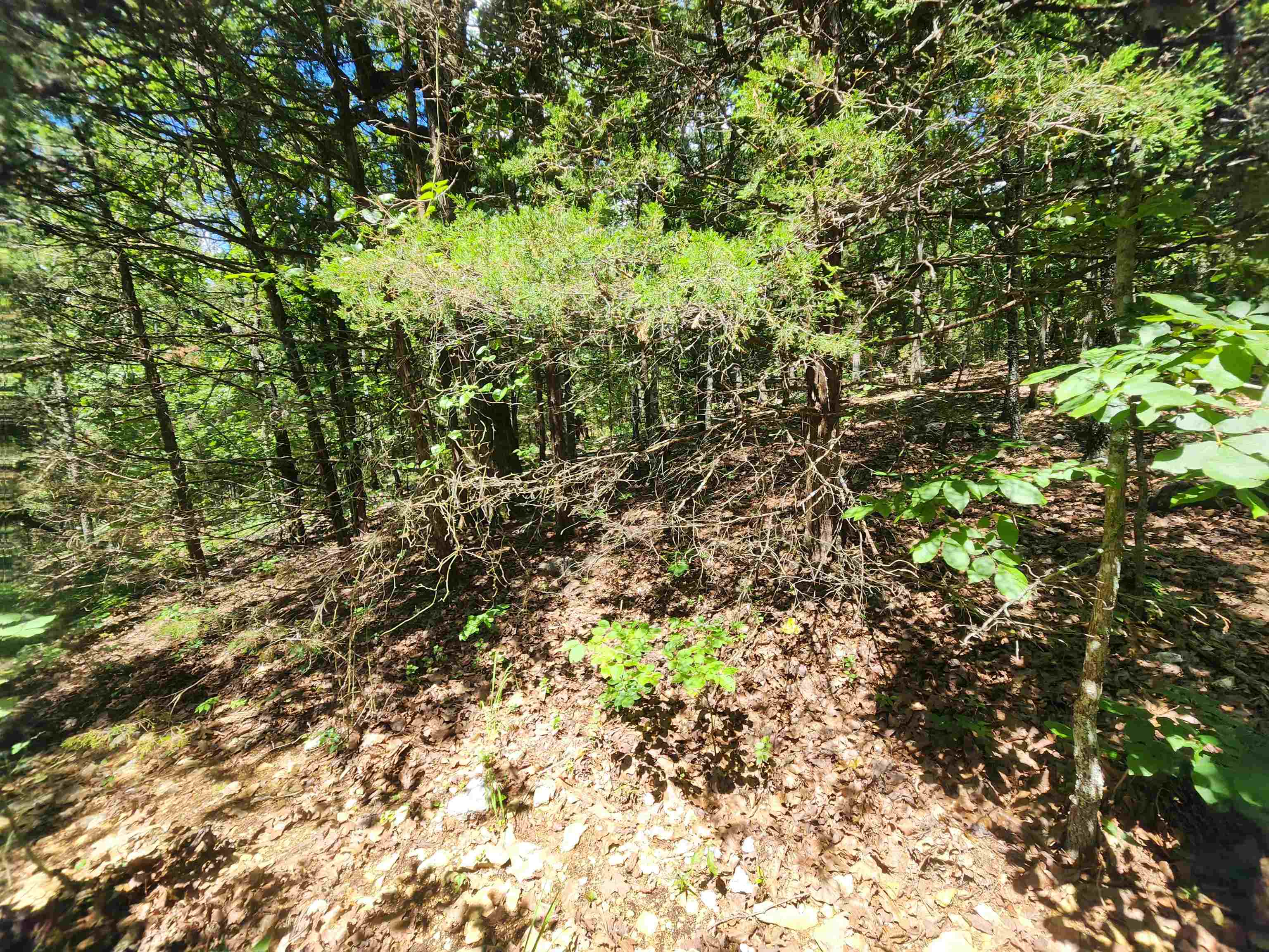 L35b2 Black Cloud Circle Property Photo 17
