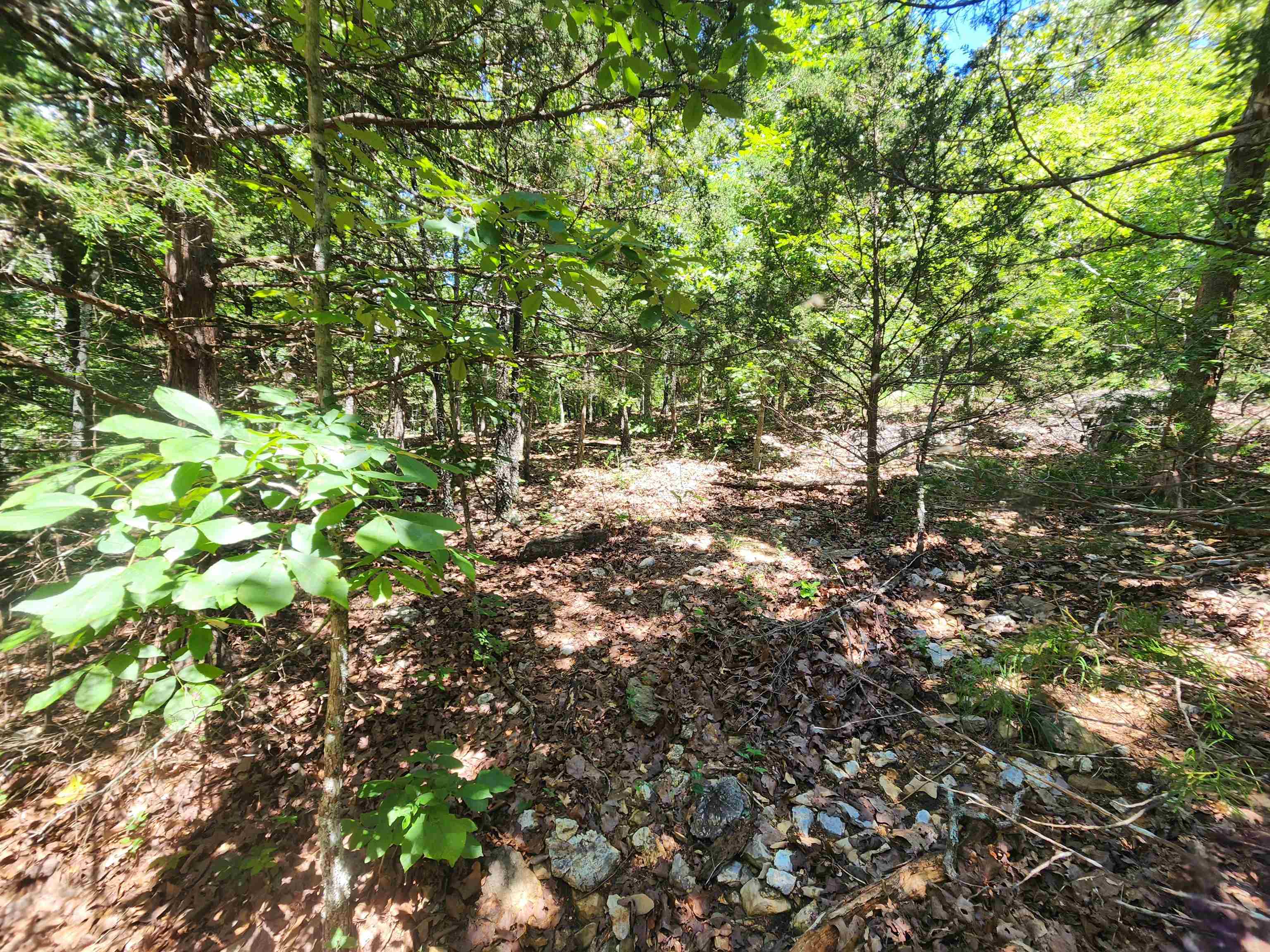 L35b2 Black Cloud Circle Property Photo 18