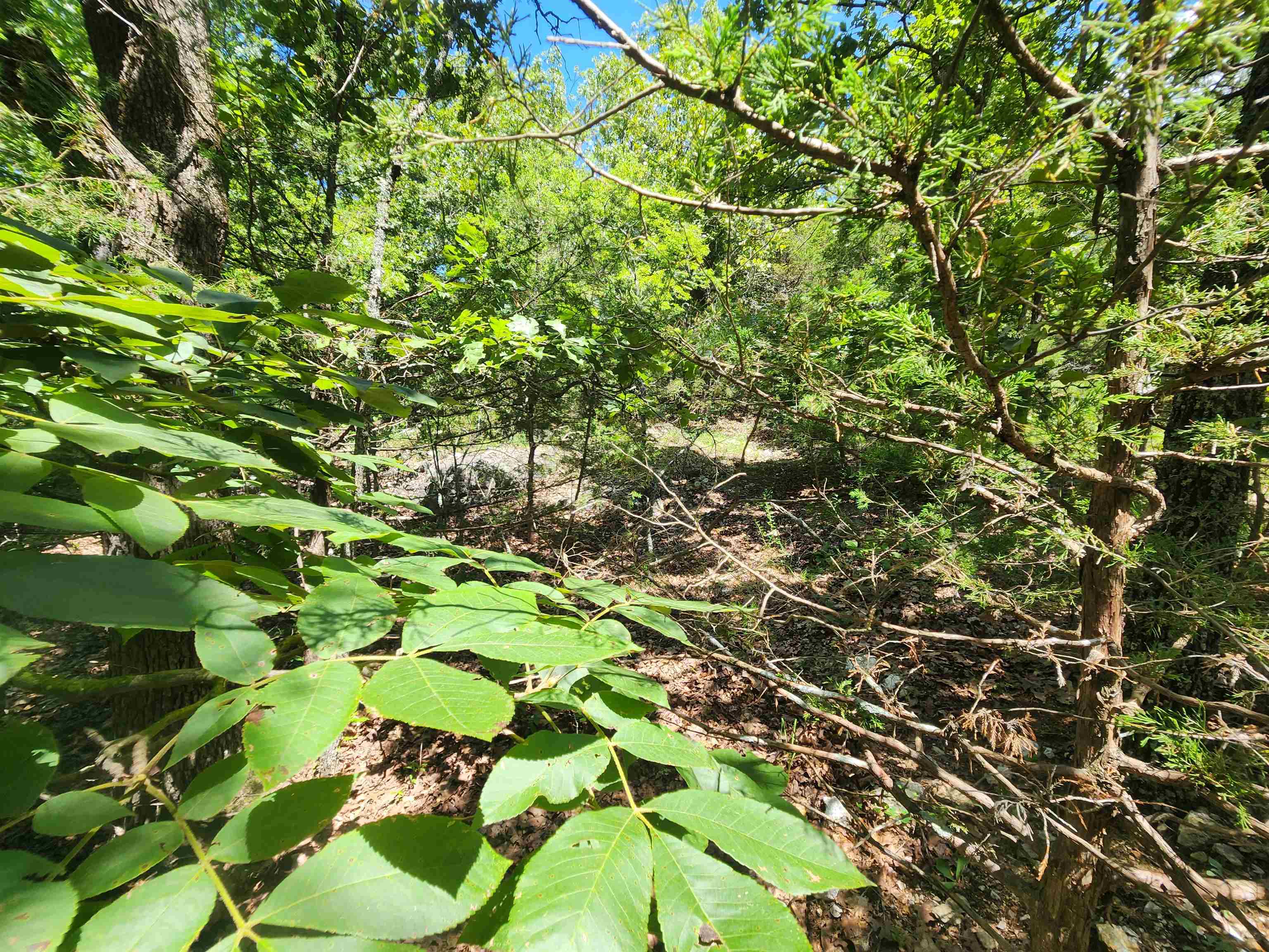 L35b2 Black Cloud Circle Property Photo 20