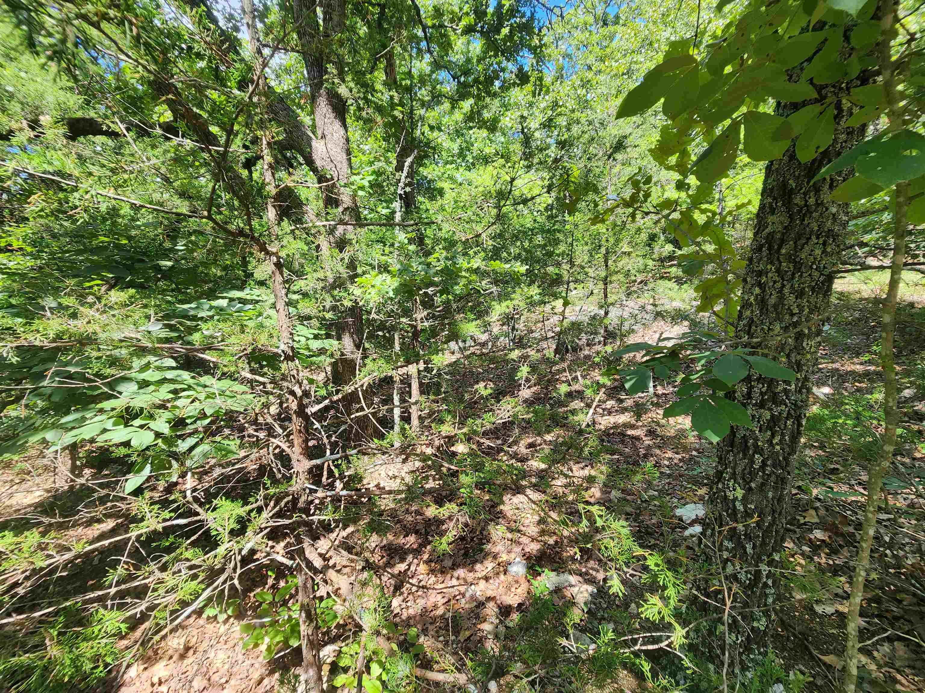 L35b2 Black Cloud Circle Property Photo 21